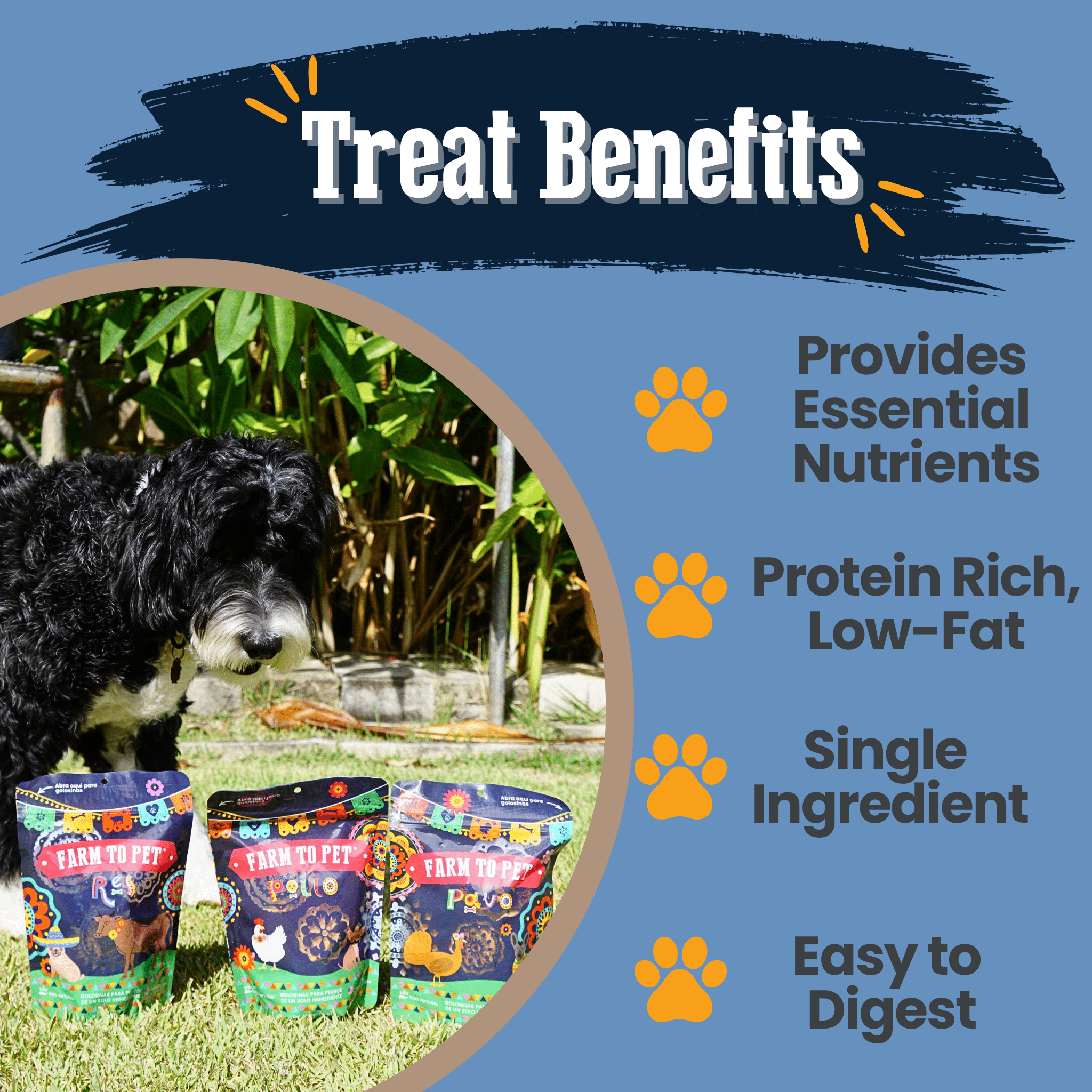 Fiesta Pack Treat Chip Bundle – Beef, Chicken and Turkey
