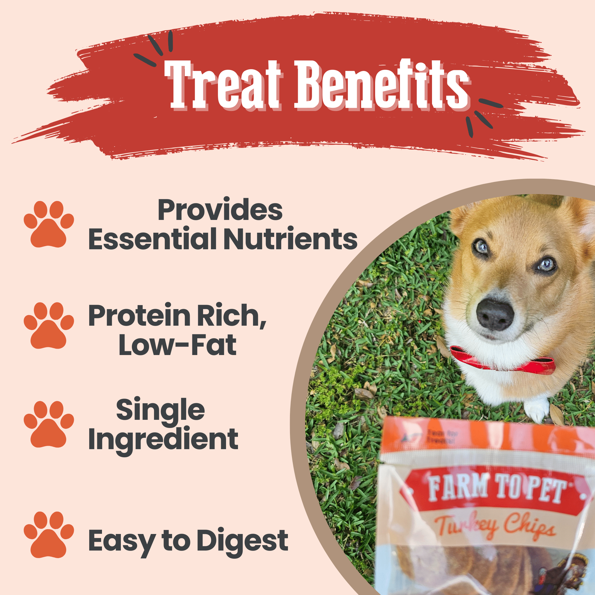 Farm to Pet Turkey Chips Snack Pack Bundles