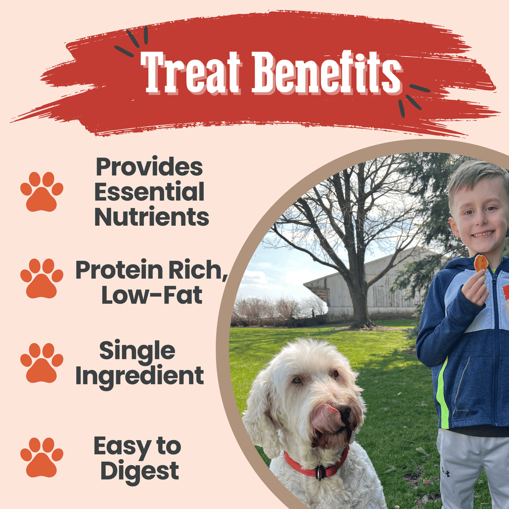 Farm to Pet Treat Chips - Turkey