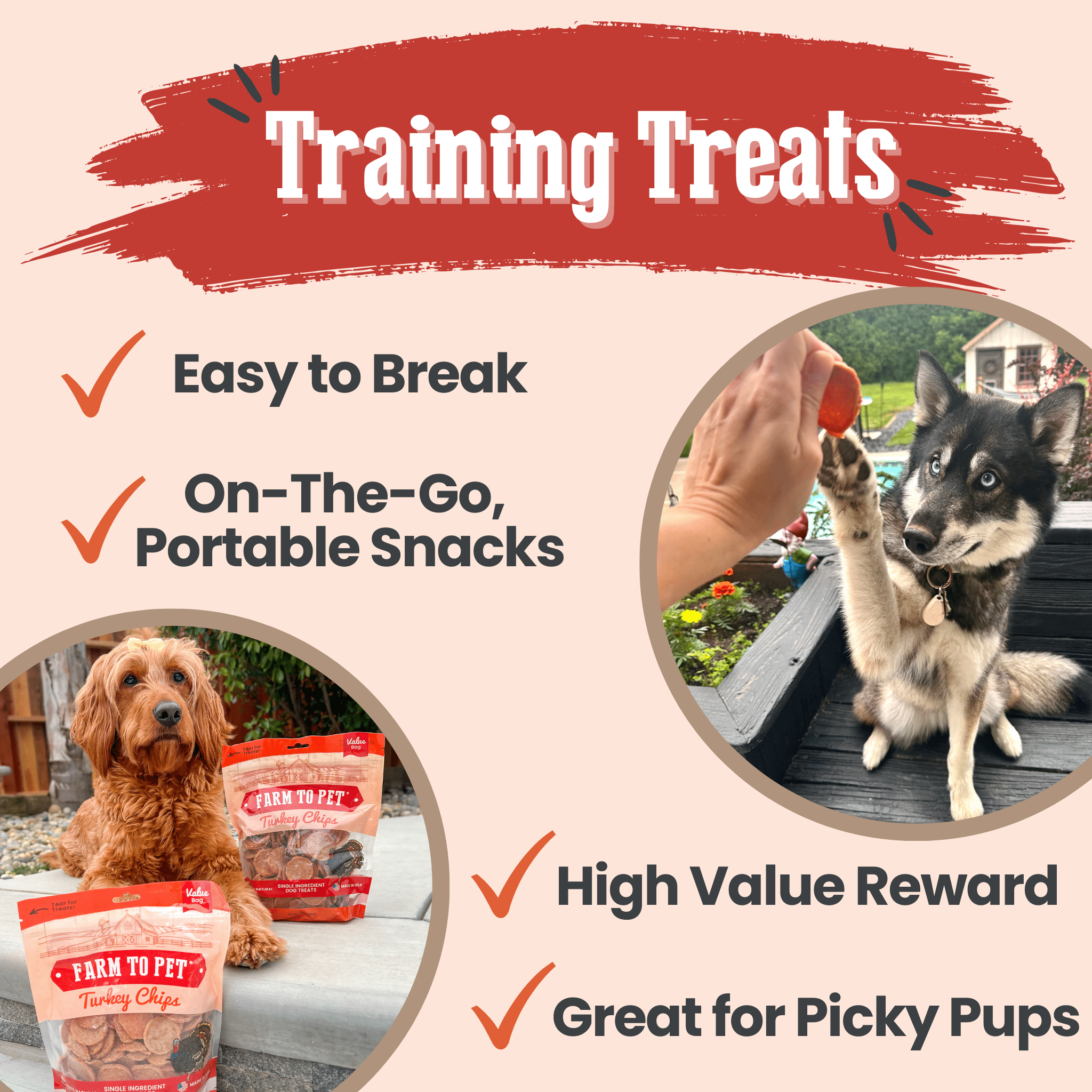 Farm to Pet Treat Chips - Turkey