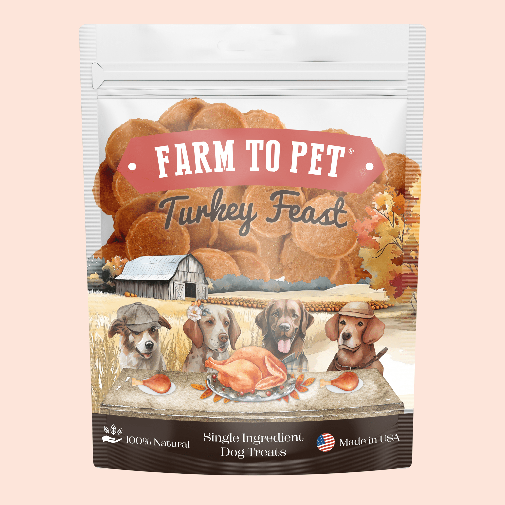 Farm to Pet Treat Chips - Turkey