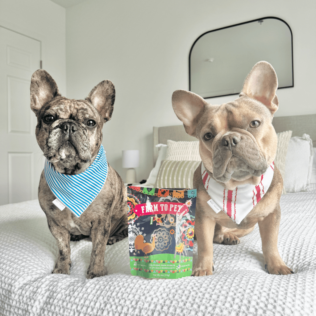 Fiesta Pack Treat Chip Bundle – Beef, Chicken and Turkey