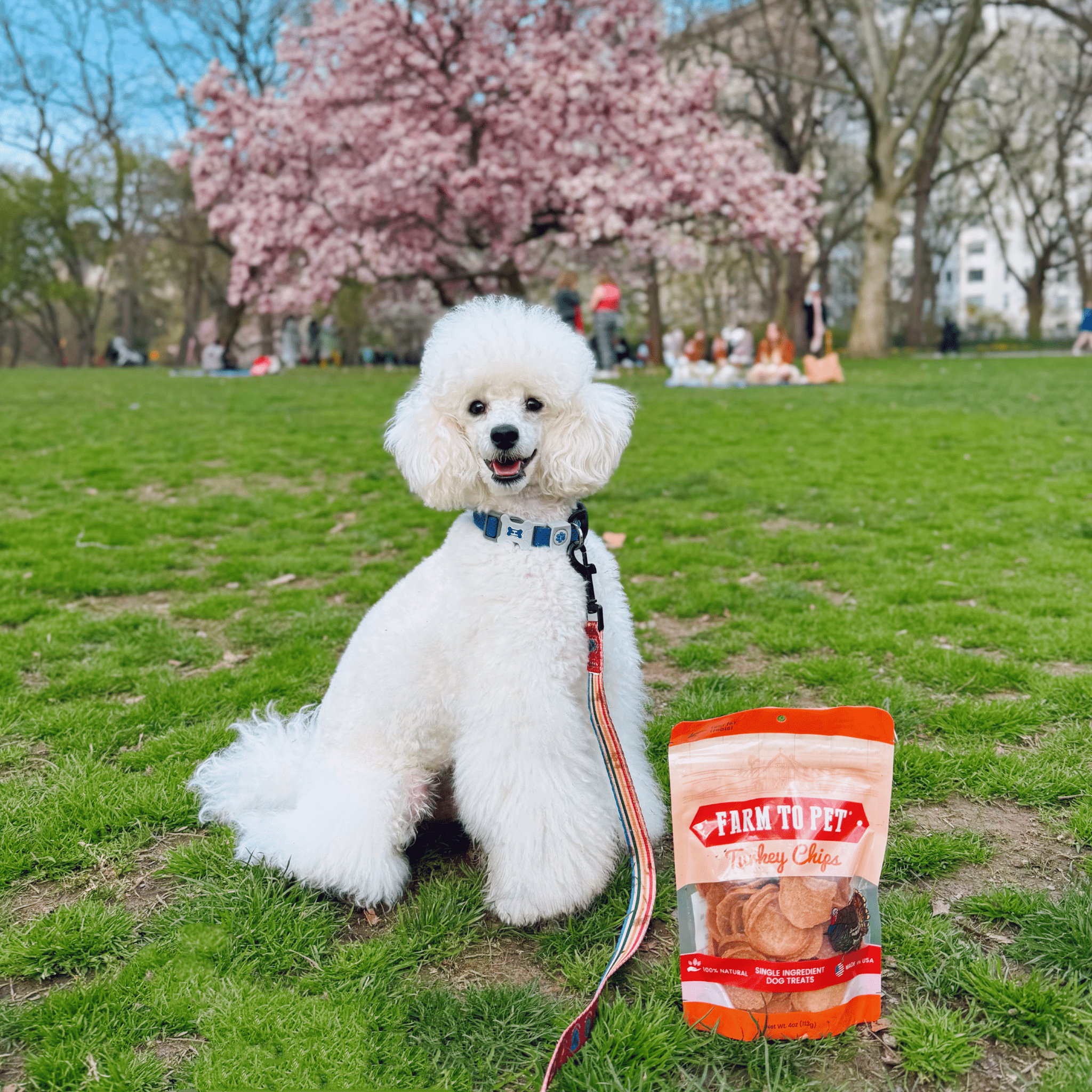 Farm to Pet Treat Chips - Turkey