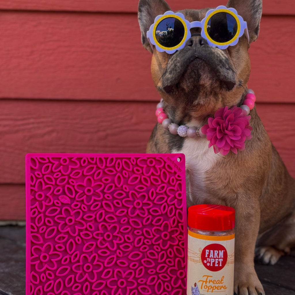Dog & Cat Lick Mat – Multiple Colors