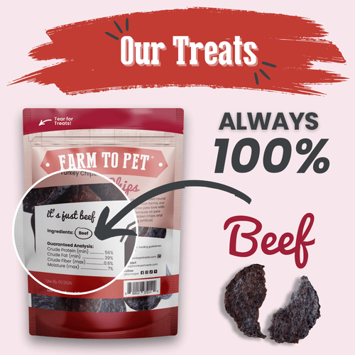 Beef Treat Chips – Single Ingredient