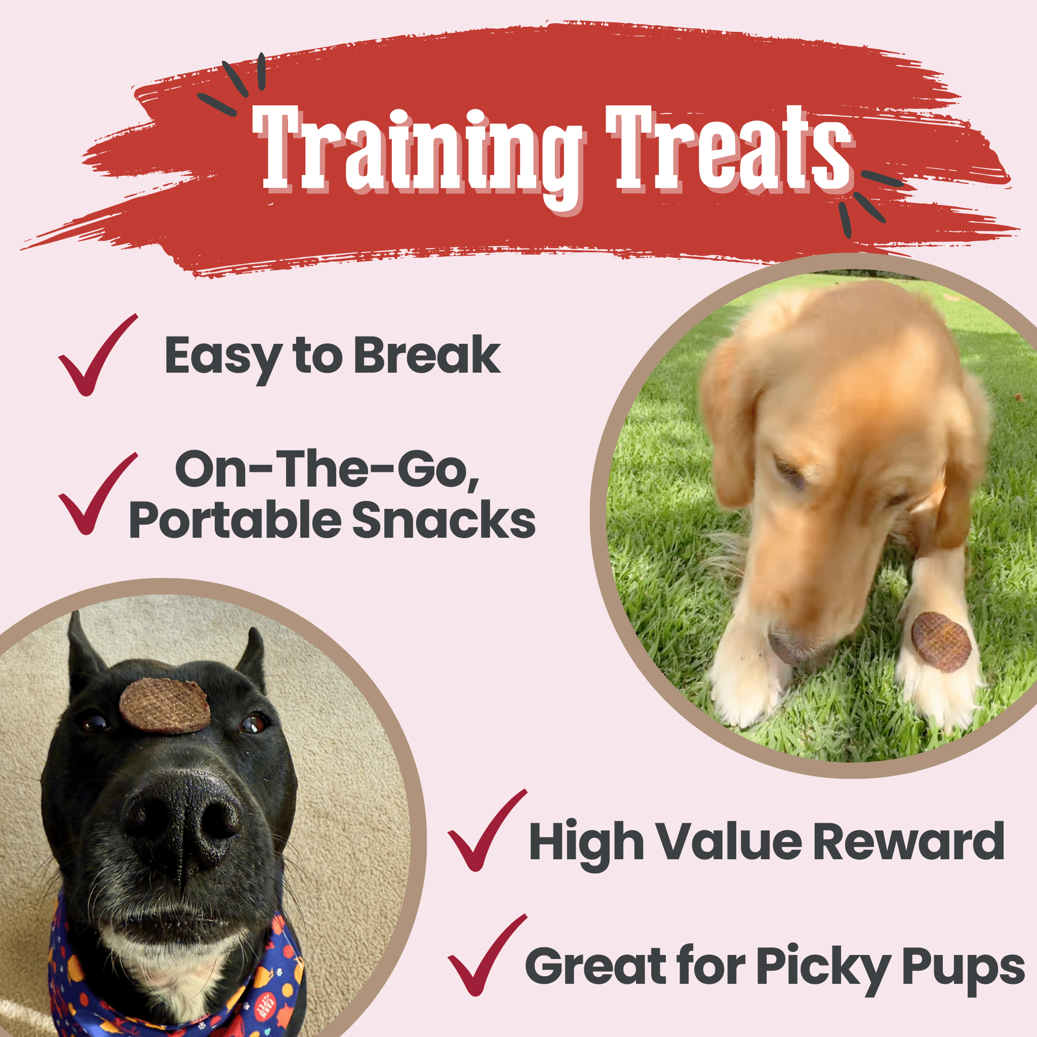 Farm to Pet Treat Chips - Beef