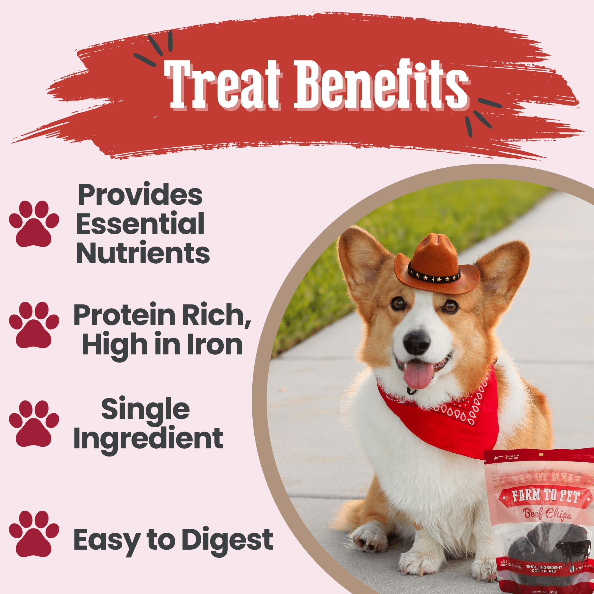 Farm to Pet Treat Chips - Beef