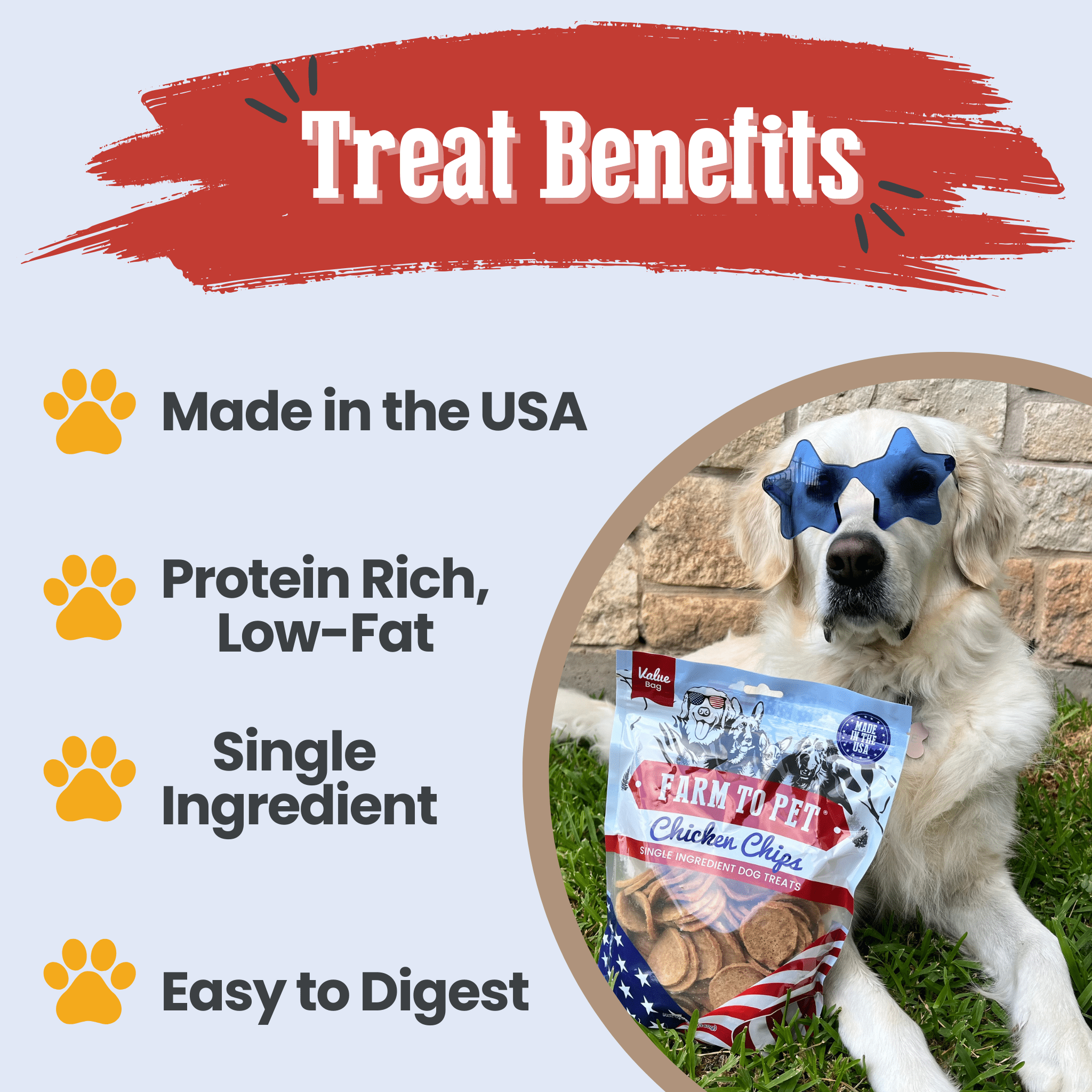 Farm to Pet Treat Chips - Chicken