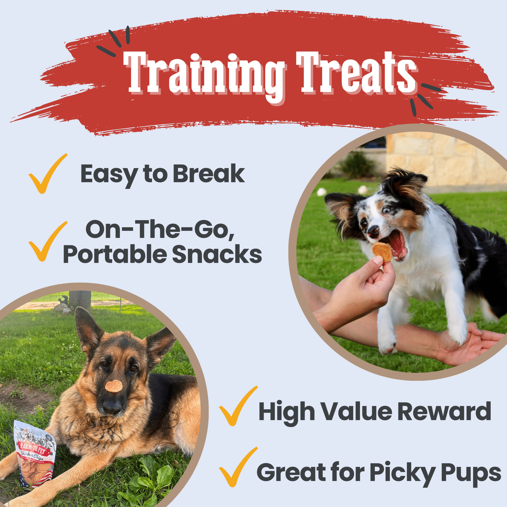 Farm to Pet Treat Chips - Chicken