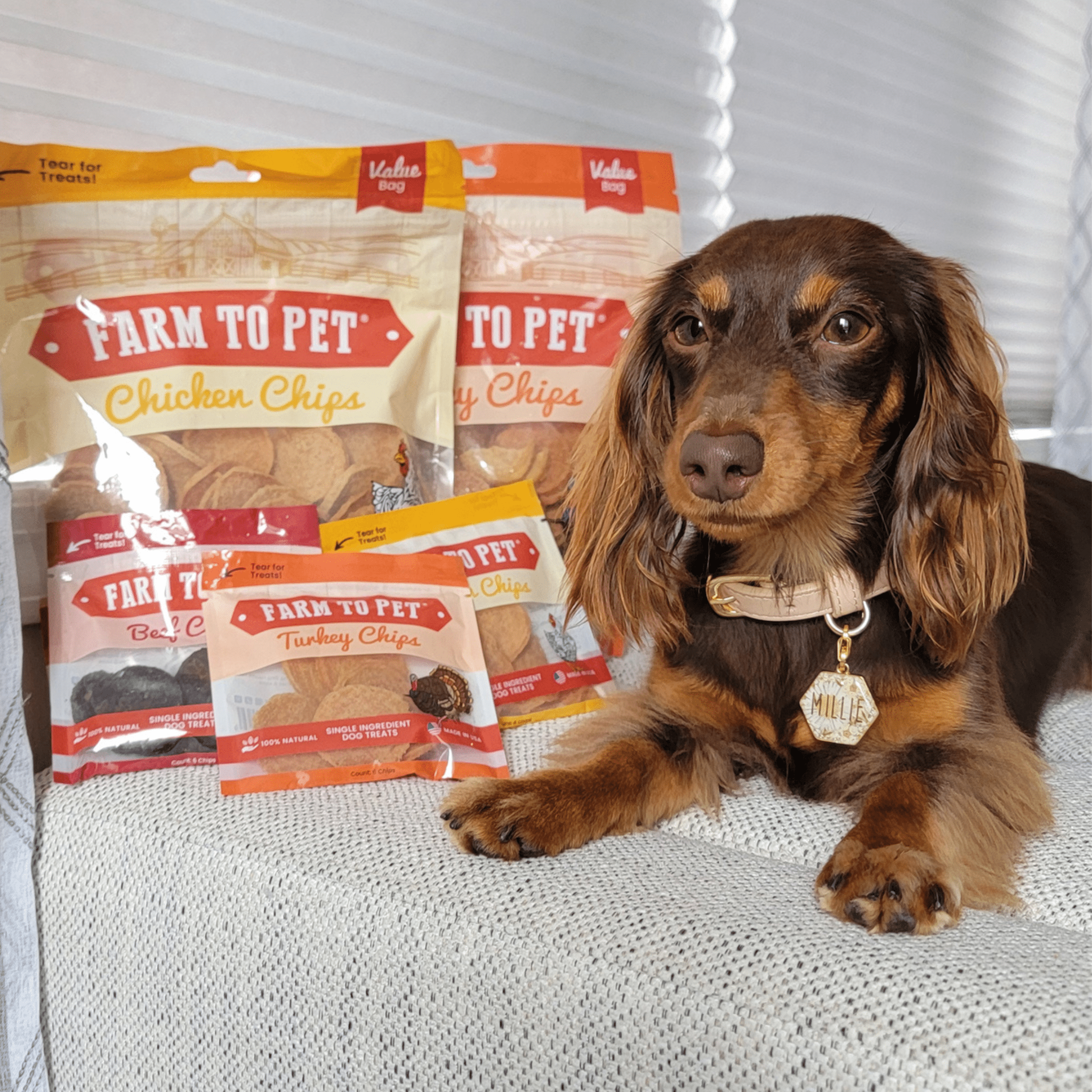 Farm to Pet Chip Dog Treat Duo - Chicken & Turkey