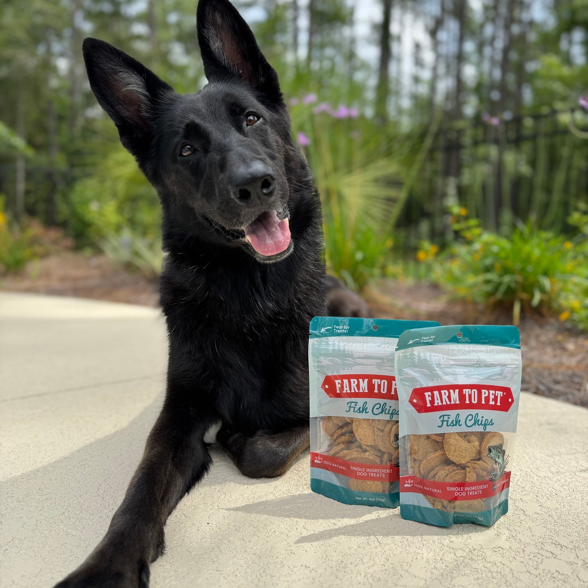 Farm to Pet Treat Chips - Fish