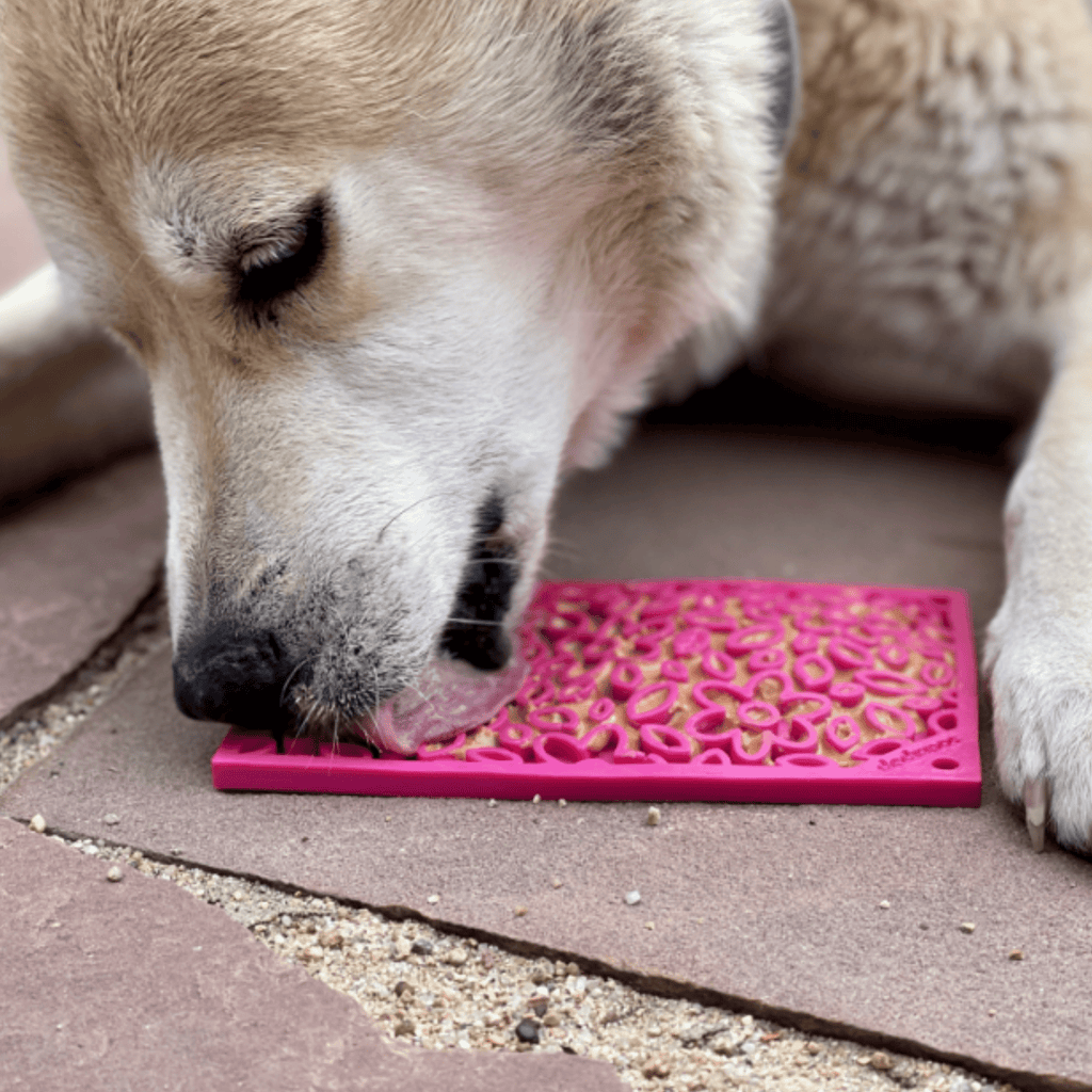Cat & Small Dog Lick Mat – Multiple Colors