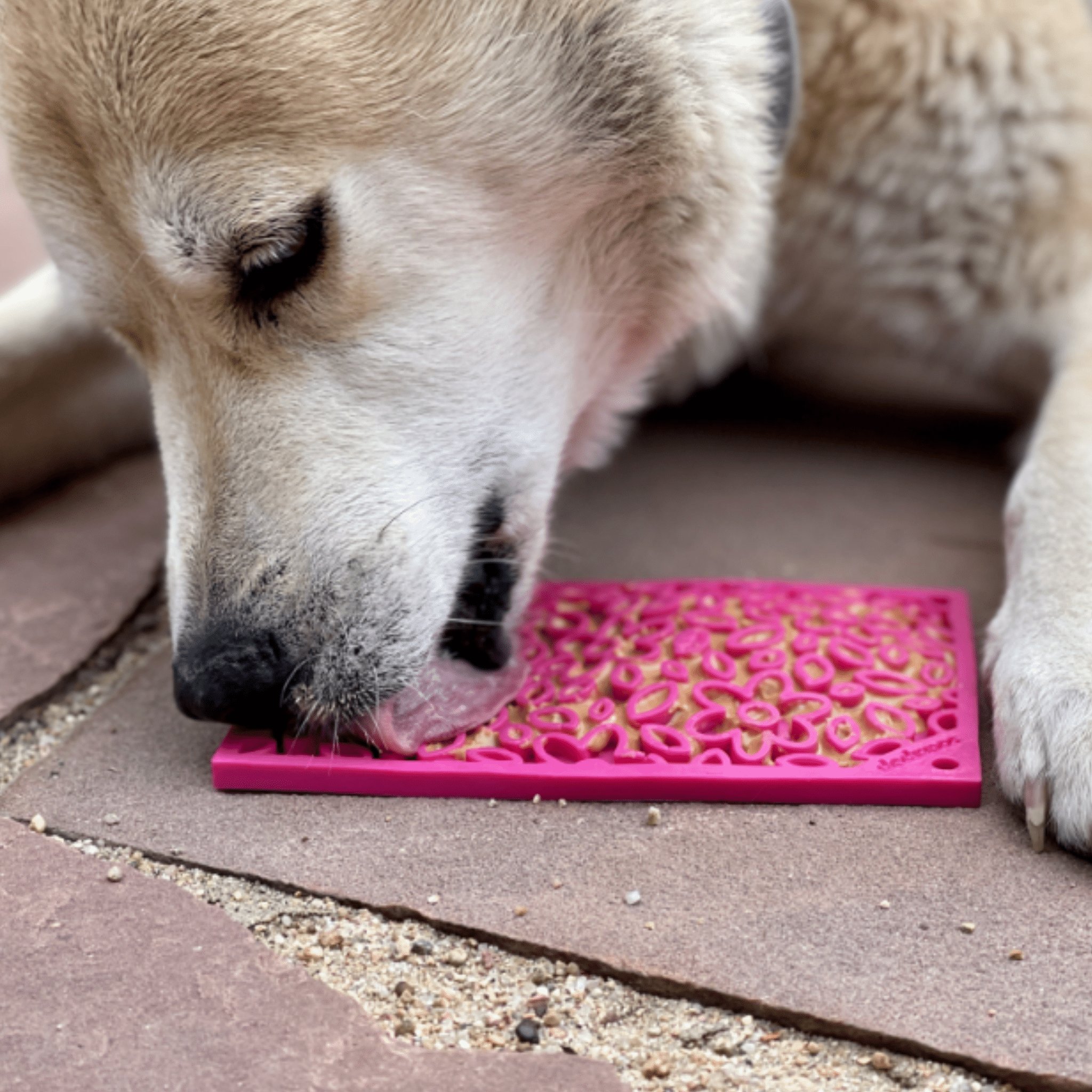 Cat & Small Dog Lick Mat – Multiple Colors