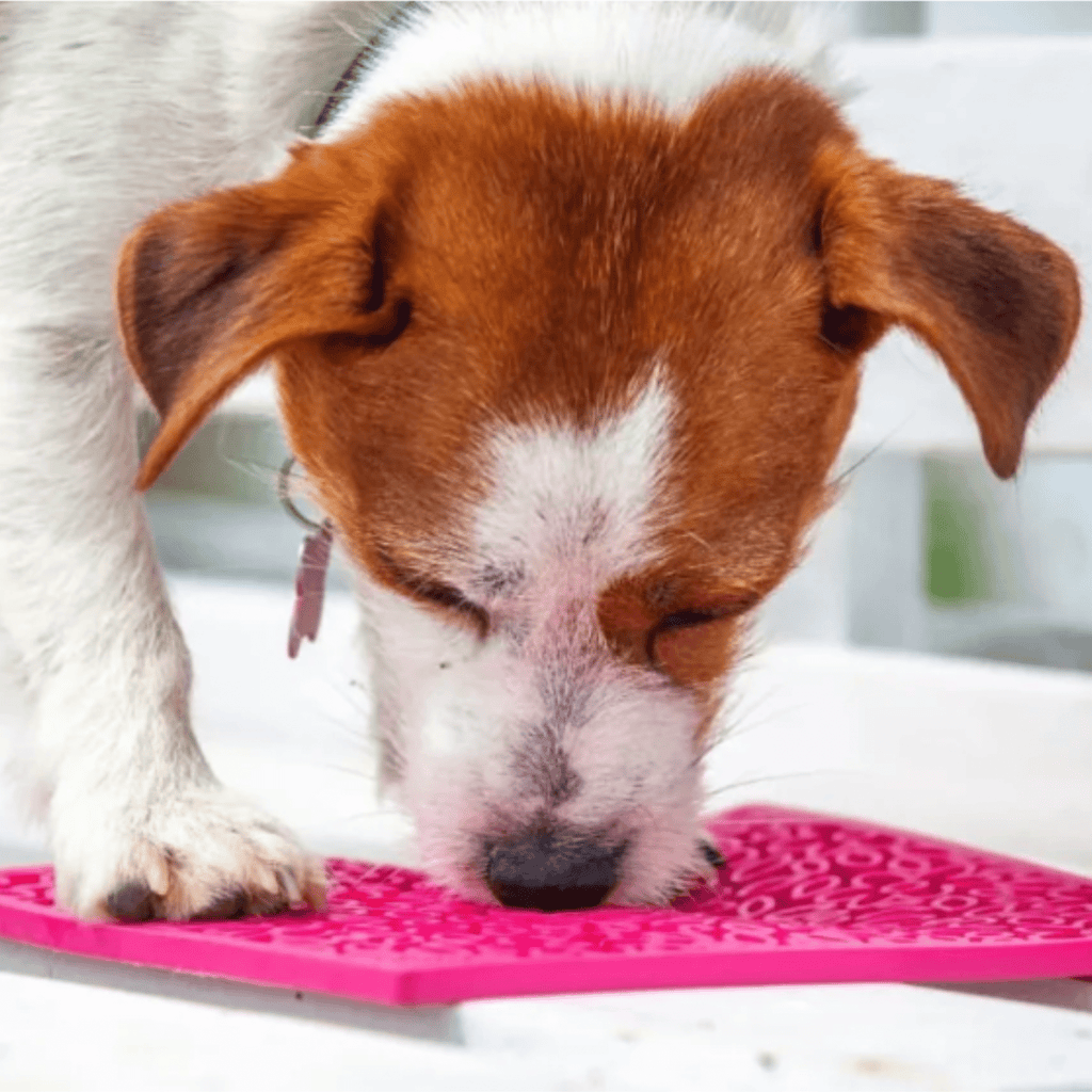 Cat & Small Dog Lick Mat – Multiple Colors