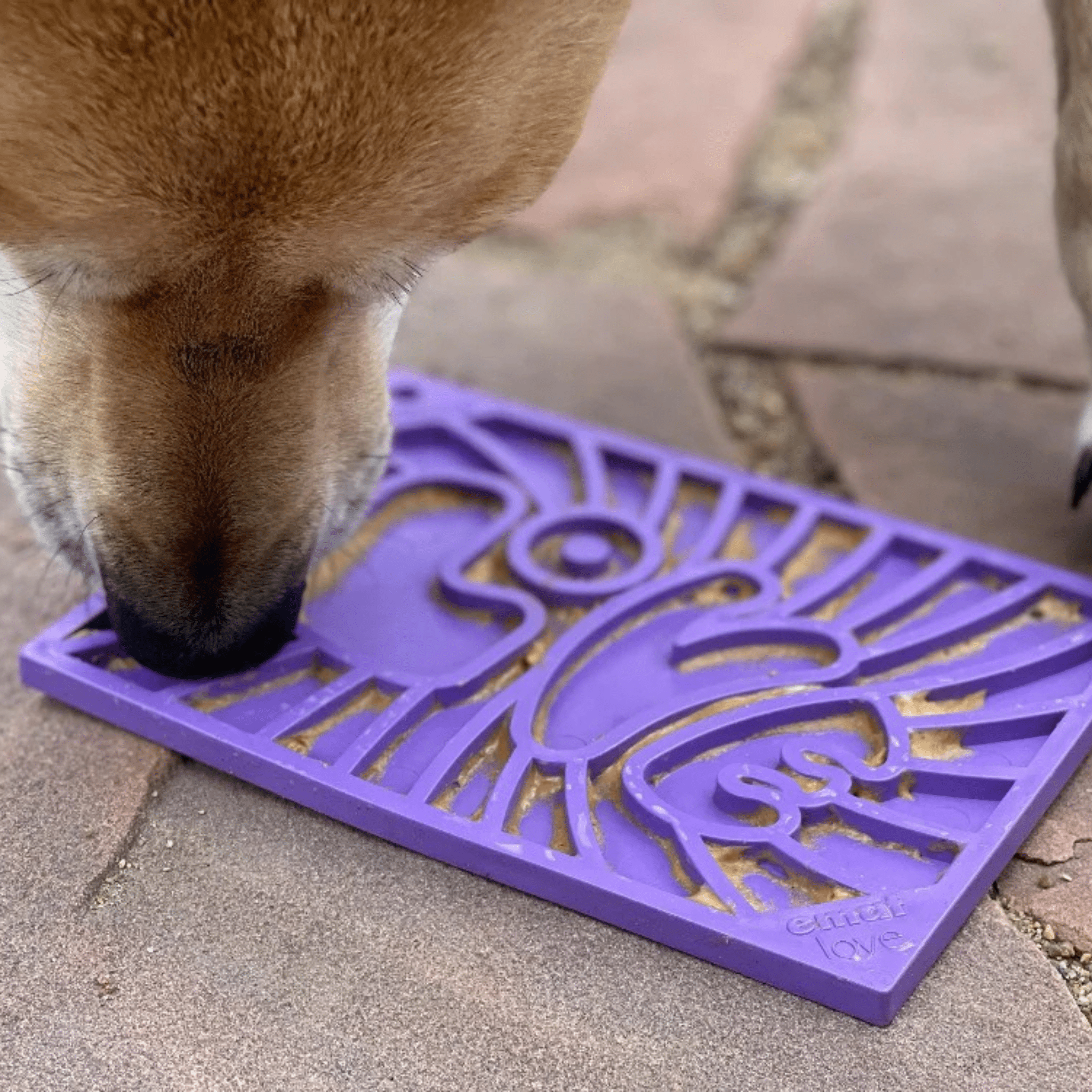 Cat & Small Dog Lick Mat – Multiple Colors