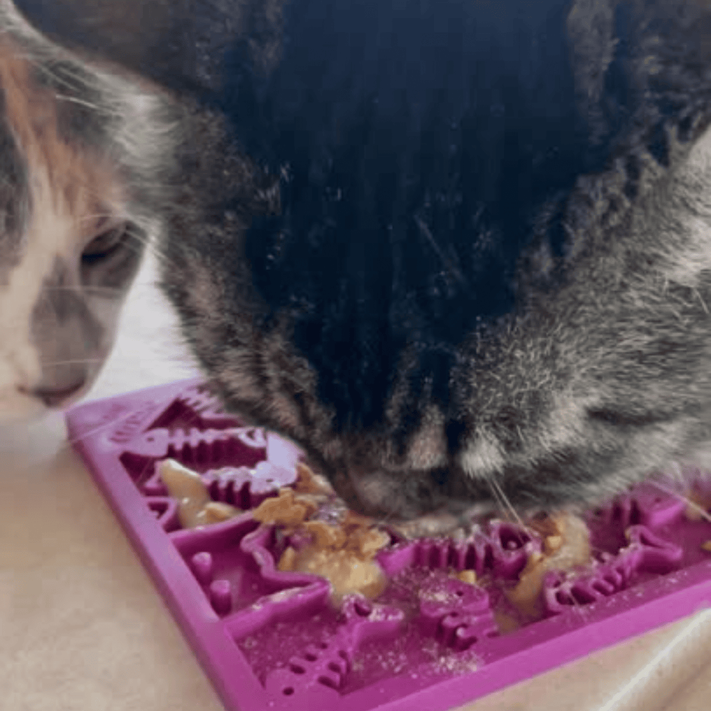 Cat and Small Dog Lick Mat – Multiple Colors