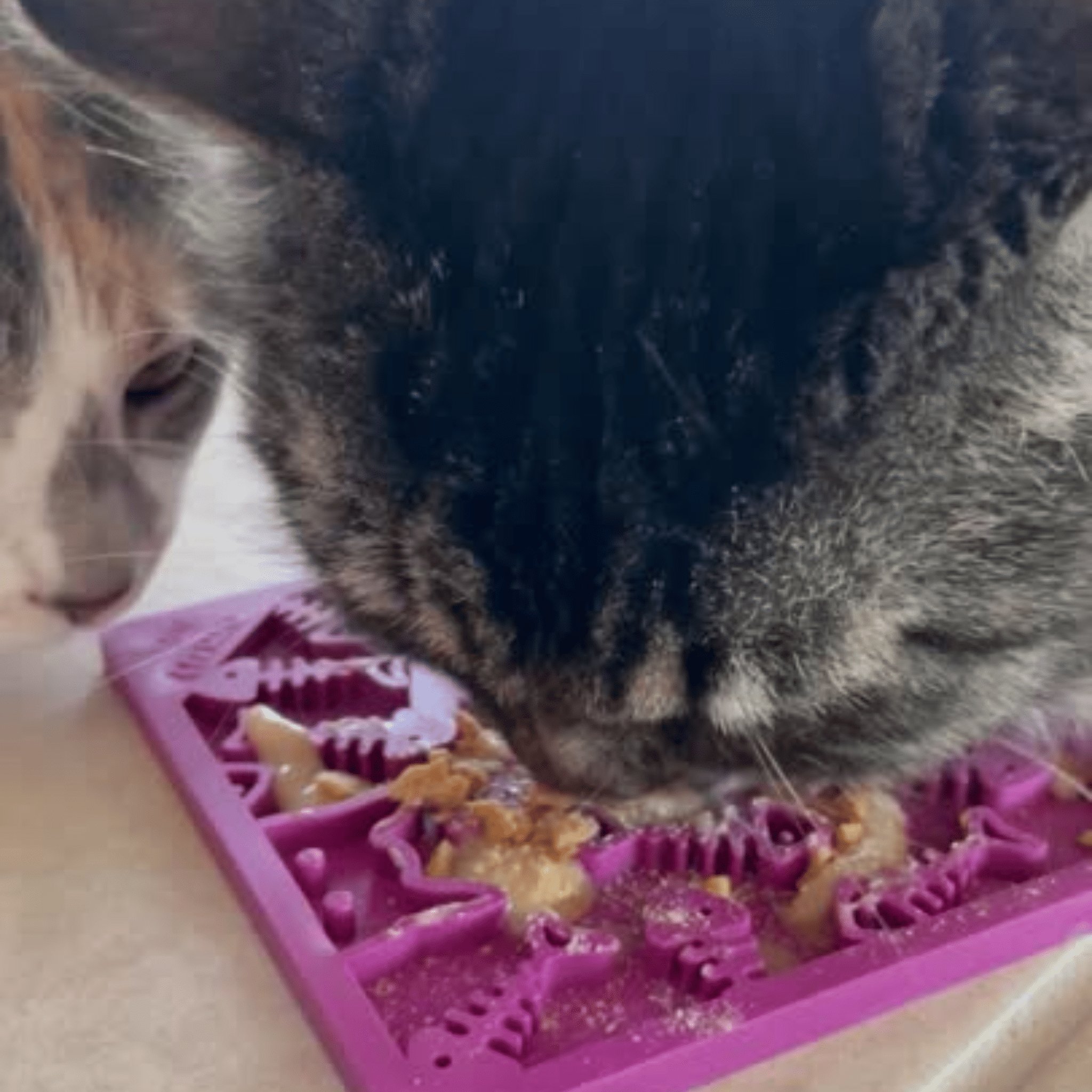 Cat and Small Dog Lick Mat – Multiple Colors