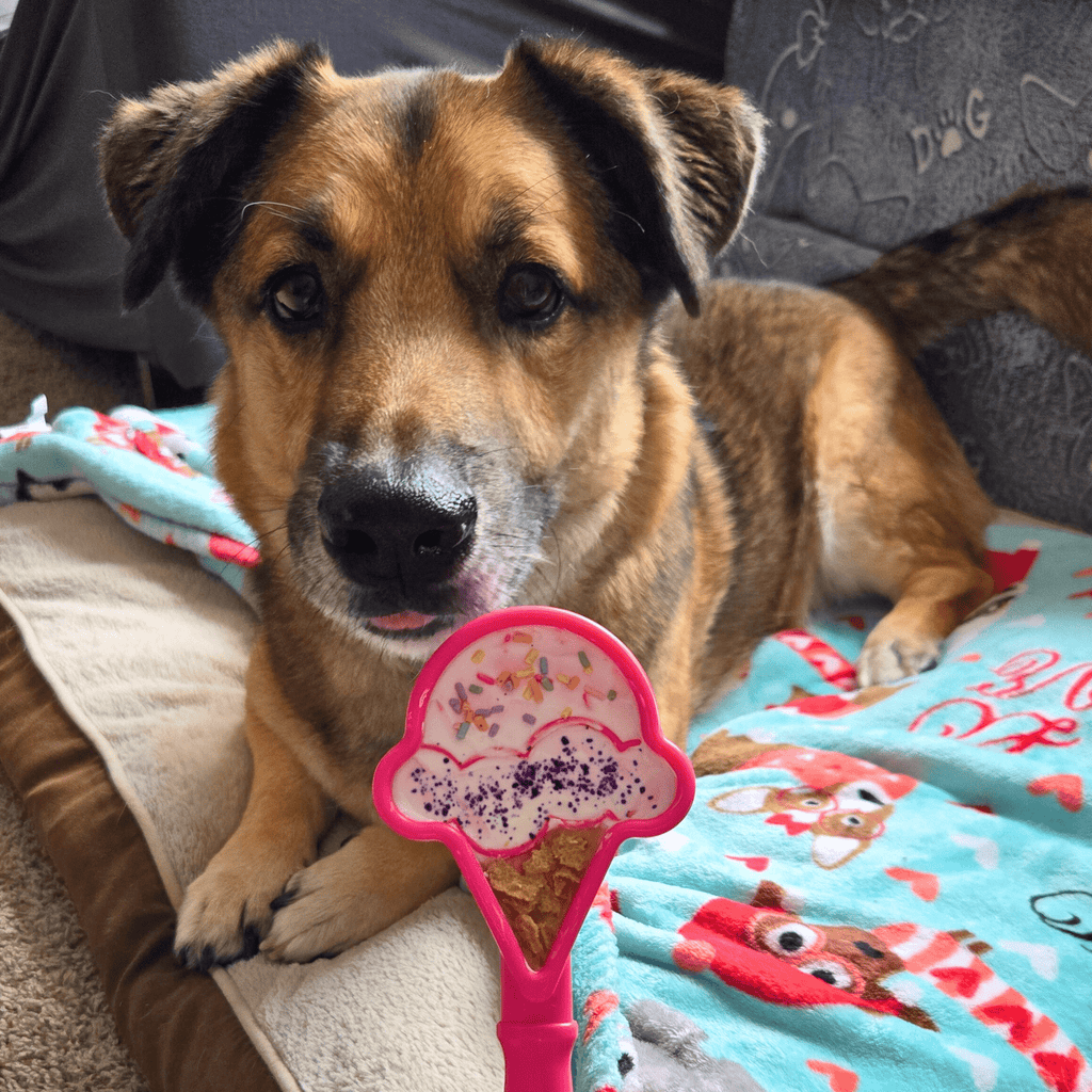 Dog Lick Sticks – Multiple Colors