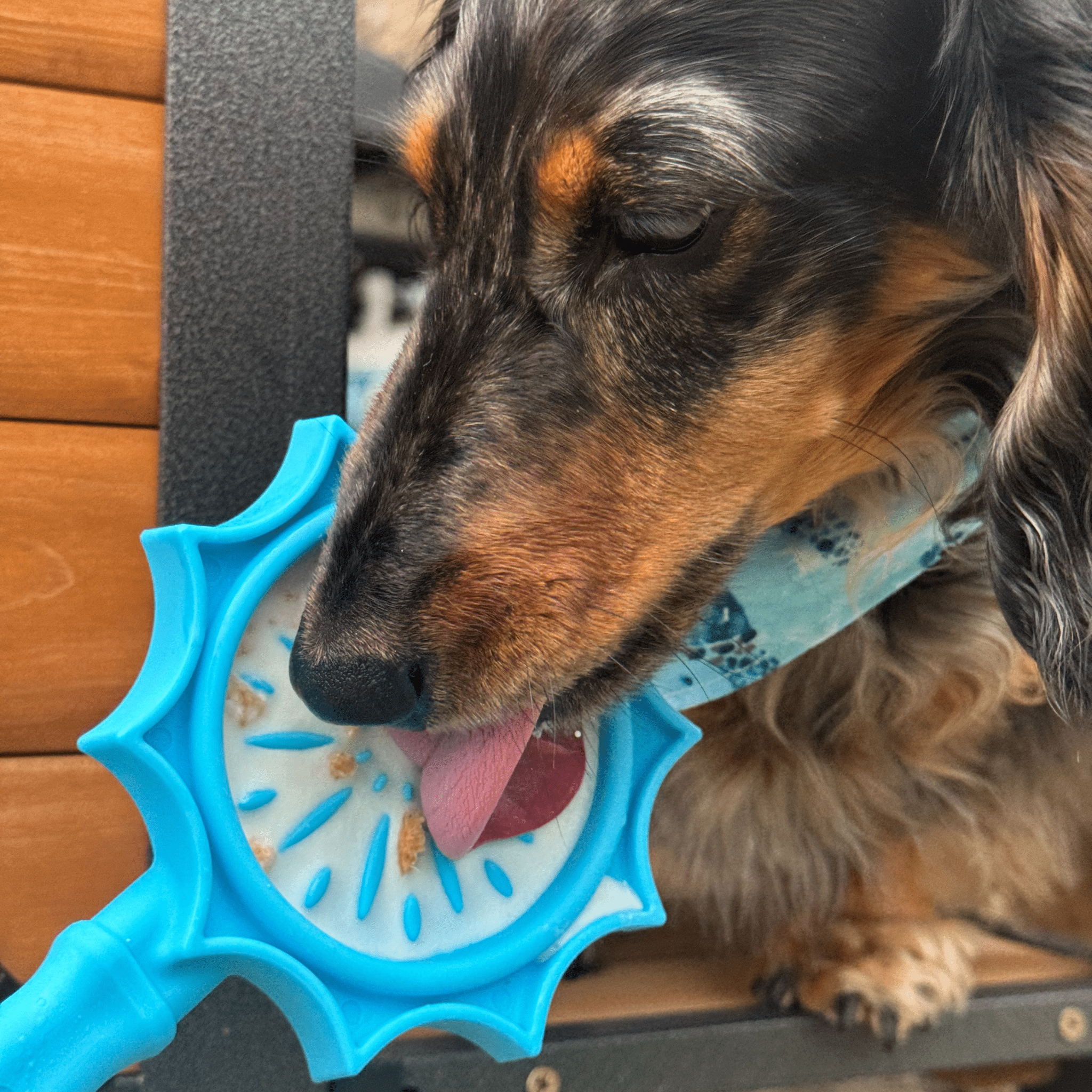 Dog Lick Sticks – Multiple Colors