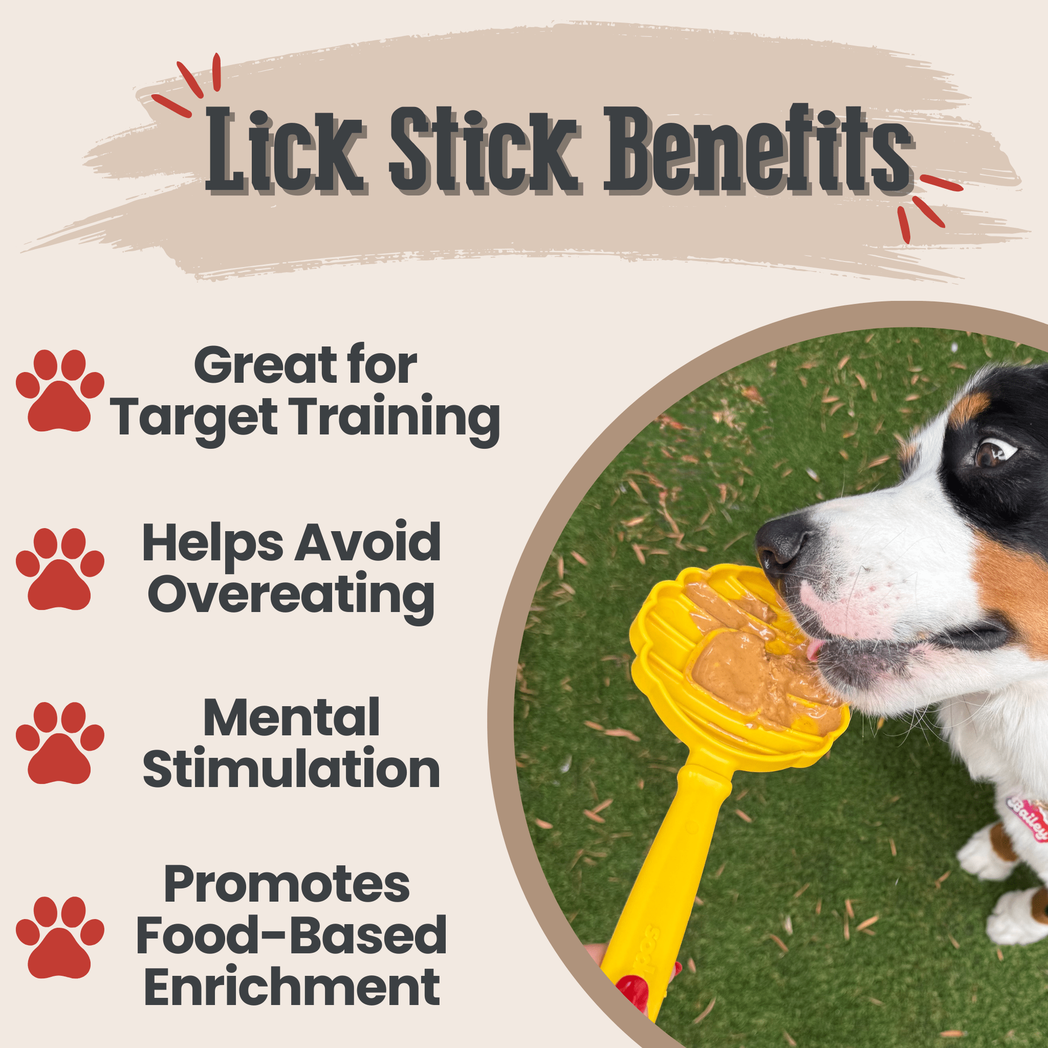 Dog Lick Sticks – Multiple Colors