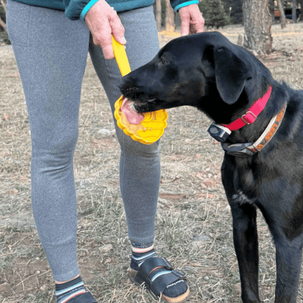 Dog Lick Sticks – Multiple Colors