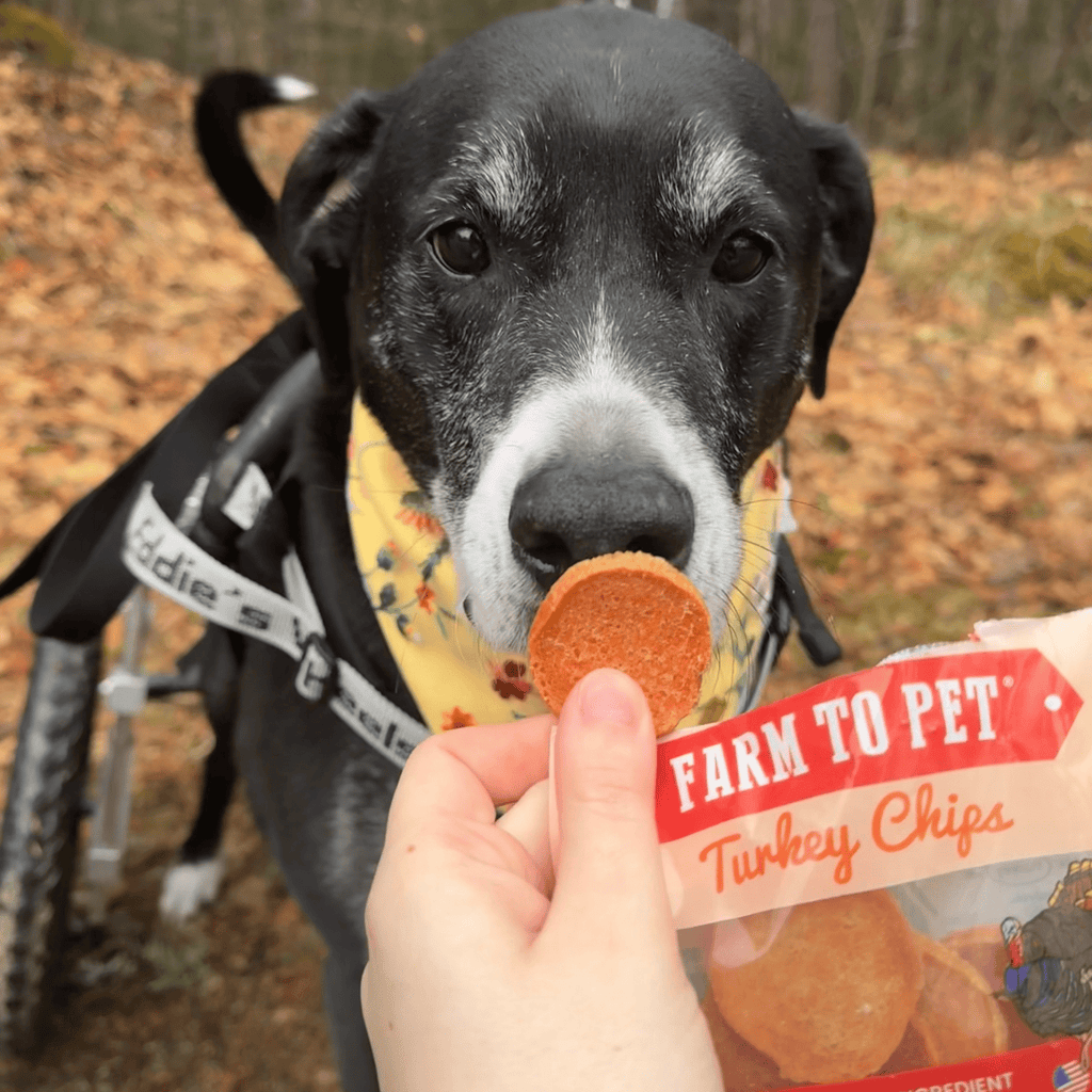Farm to Pet Turkey Chips Snack Pack Bundles