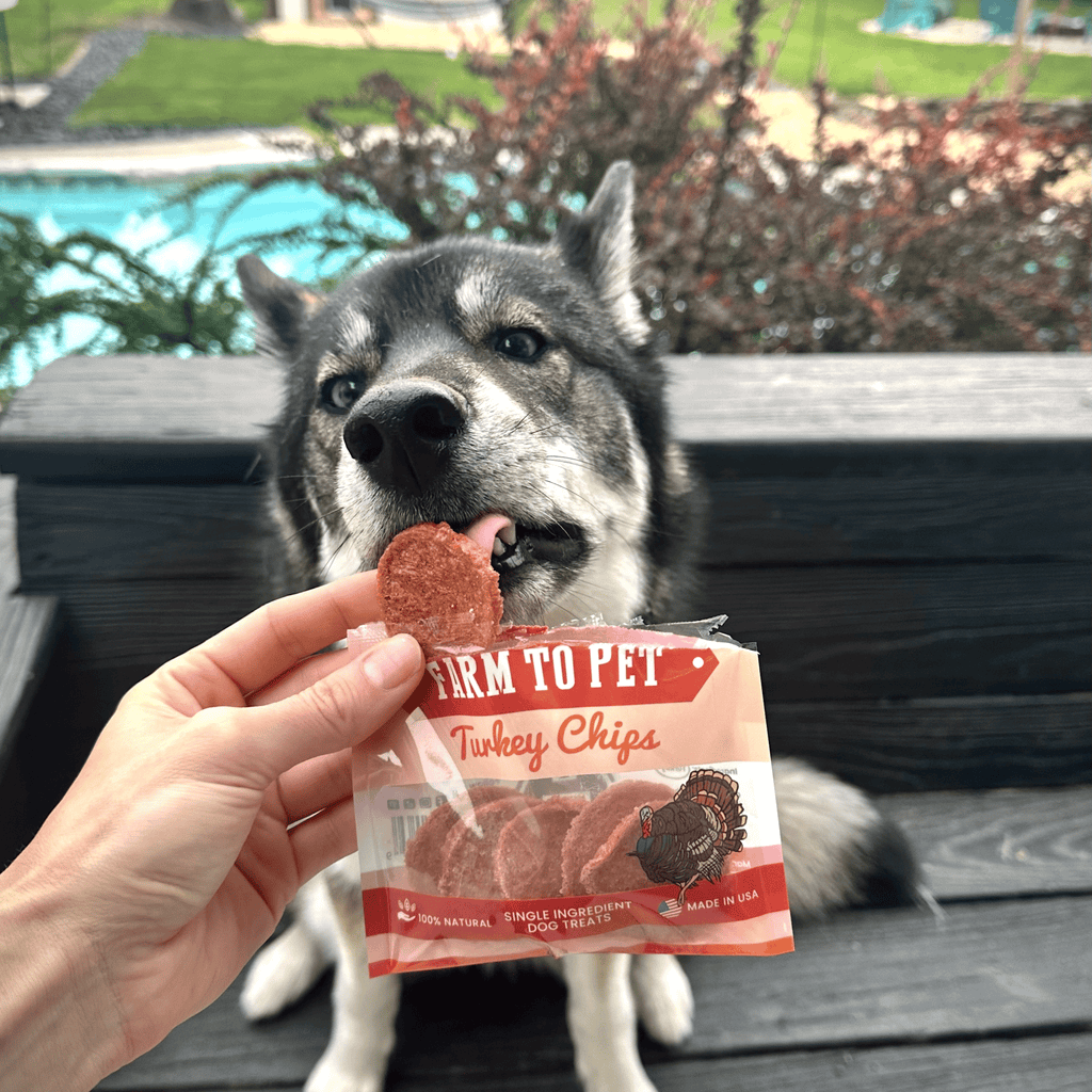 Farm to Pet Turkey Chips Snack Pack Bundles