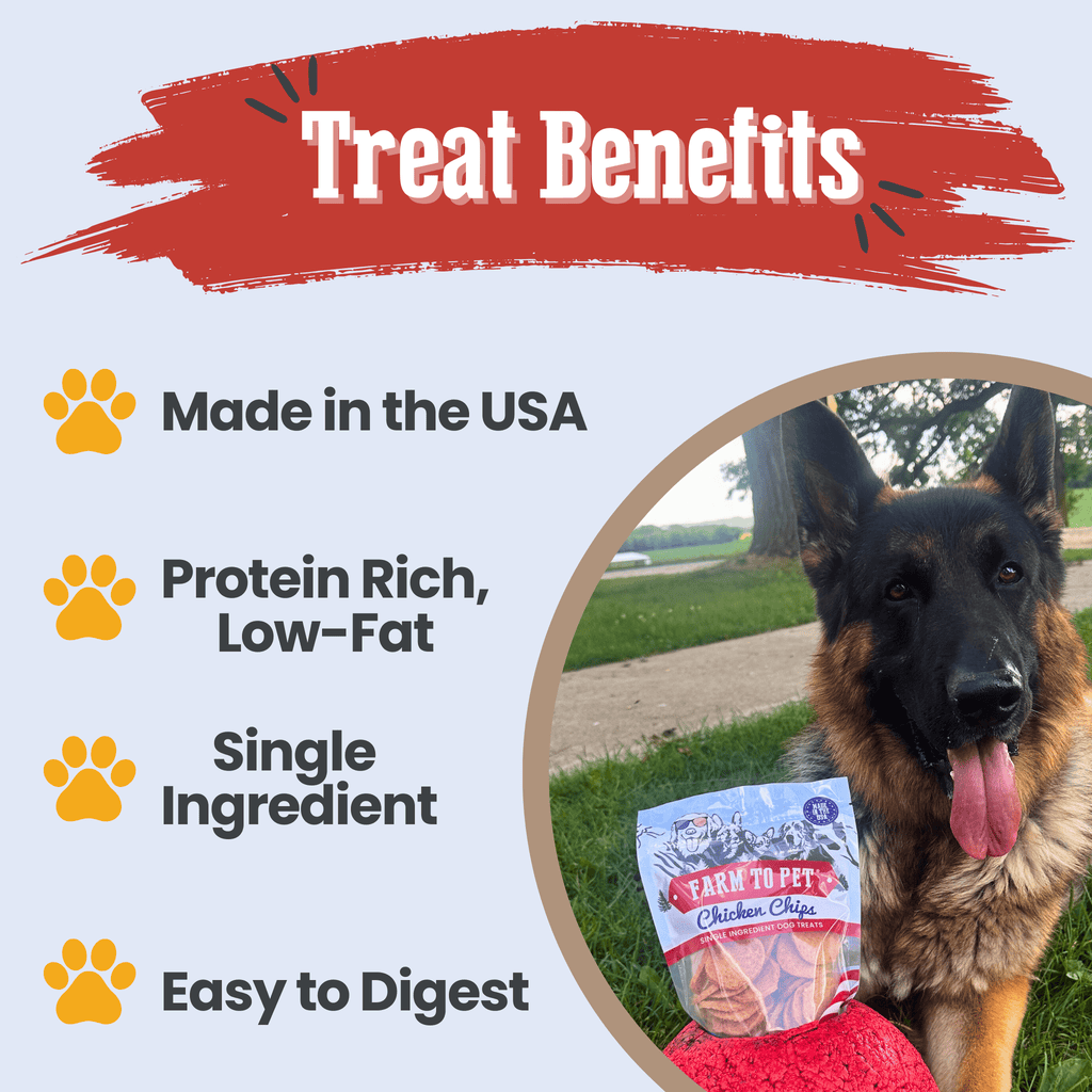 Farm to Pet Treat Chips - Chicken