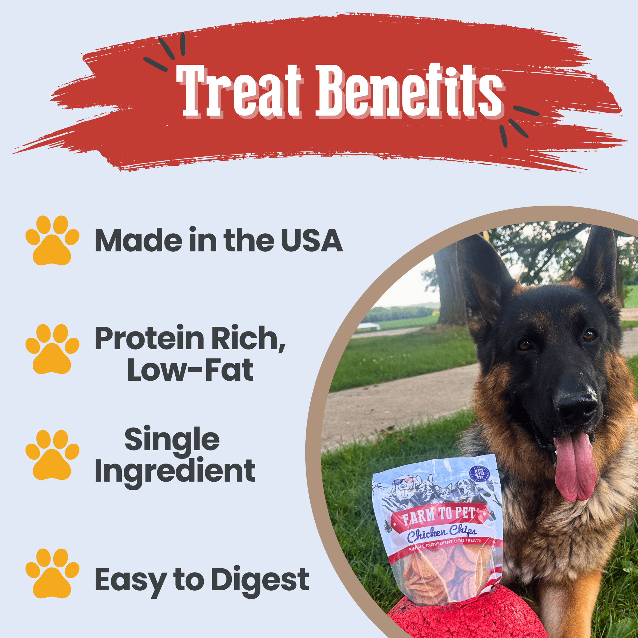 Farm to Pet Treat Chips - Chicken