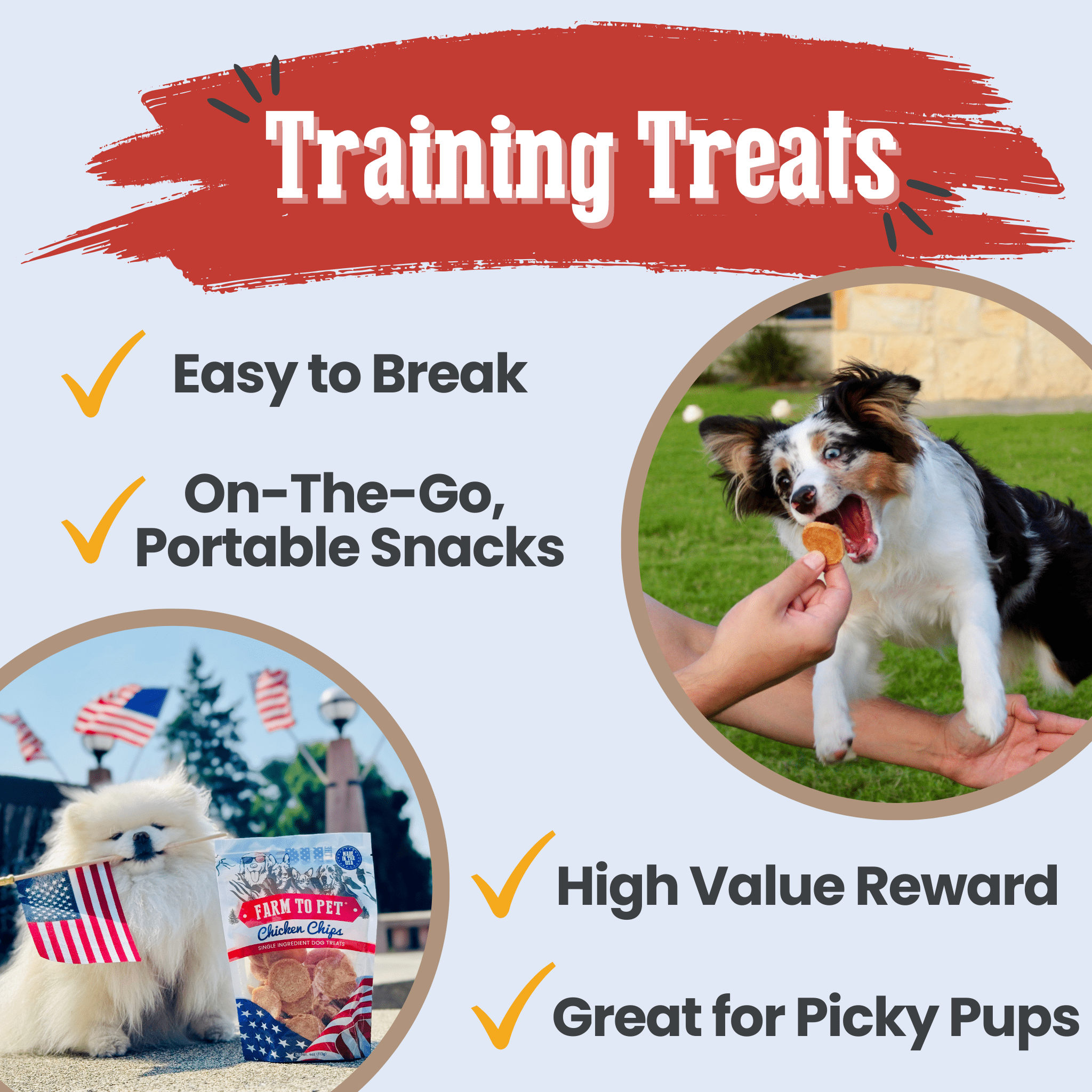 Farm to Pet Treat Chips - Chicken
