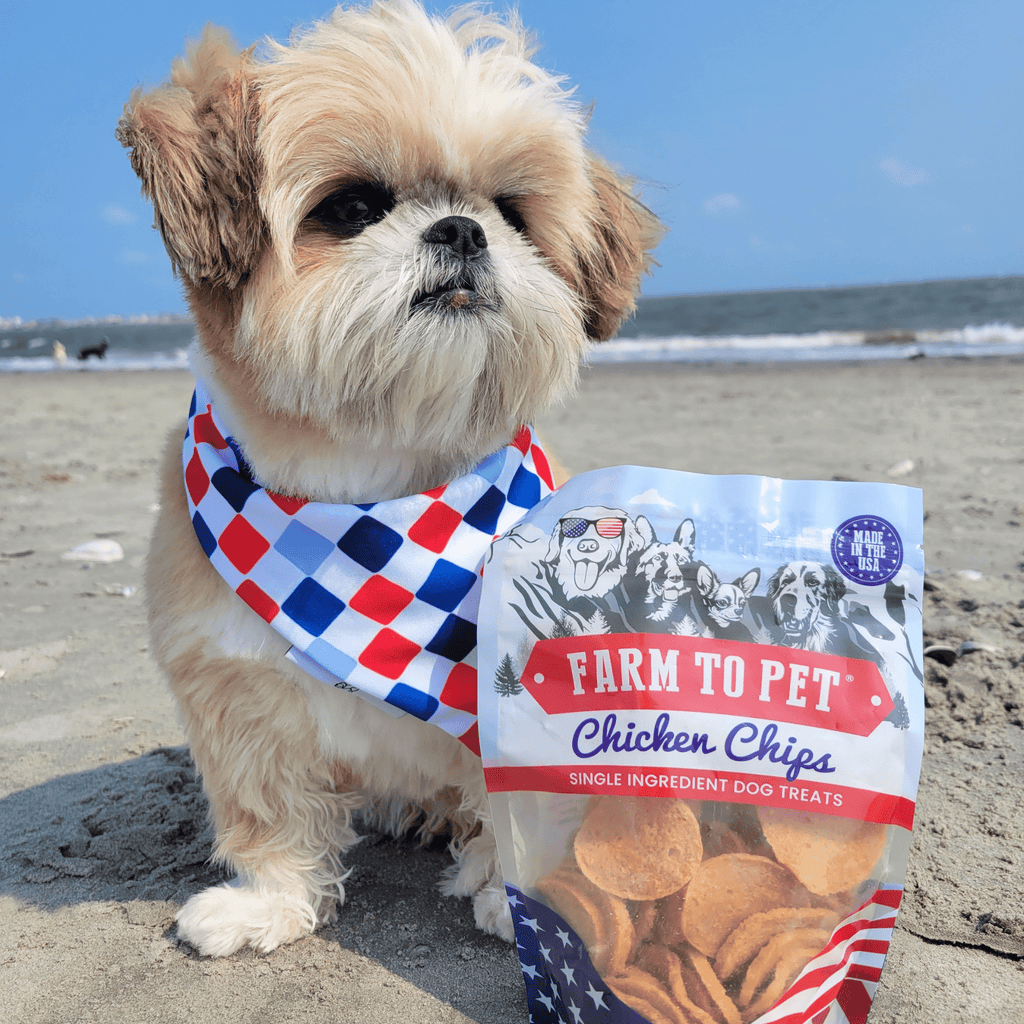 Farm to Pet Treat Chips - Chicken