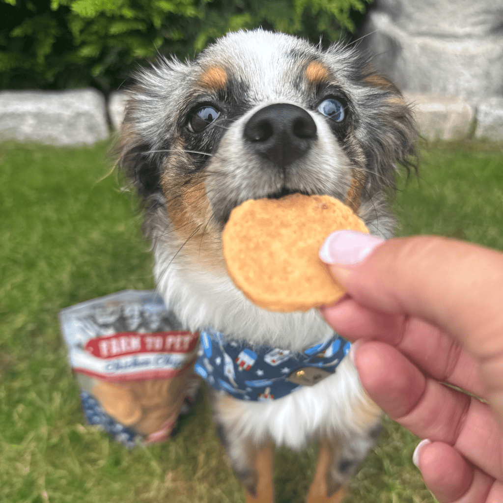 Farm to Pet Treat Chips - Chicken