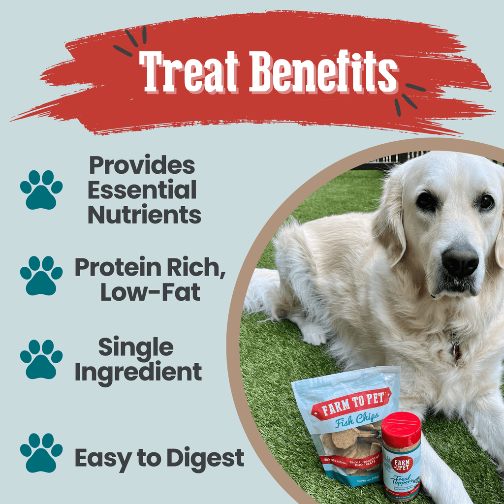 Fish Treat Chips – Single Ingredient Wild-Caught