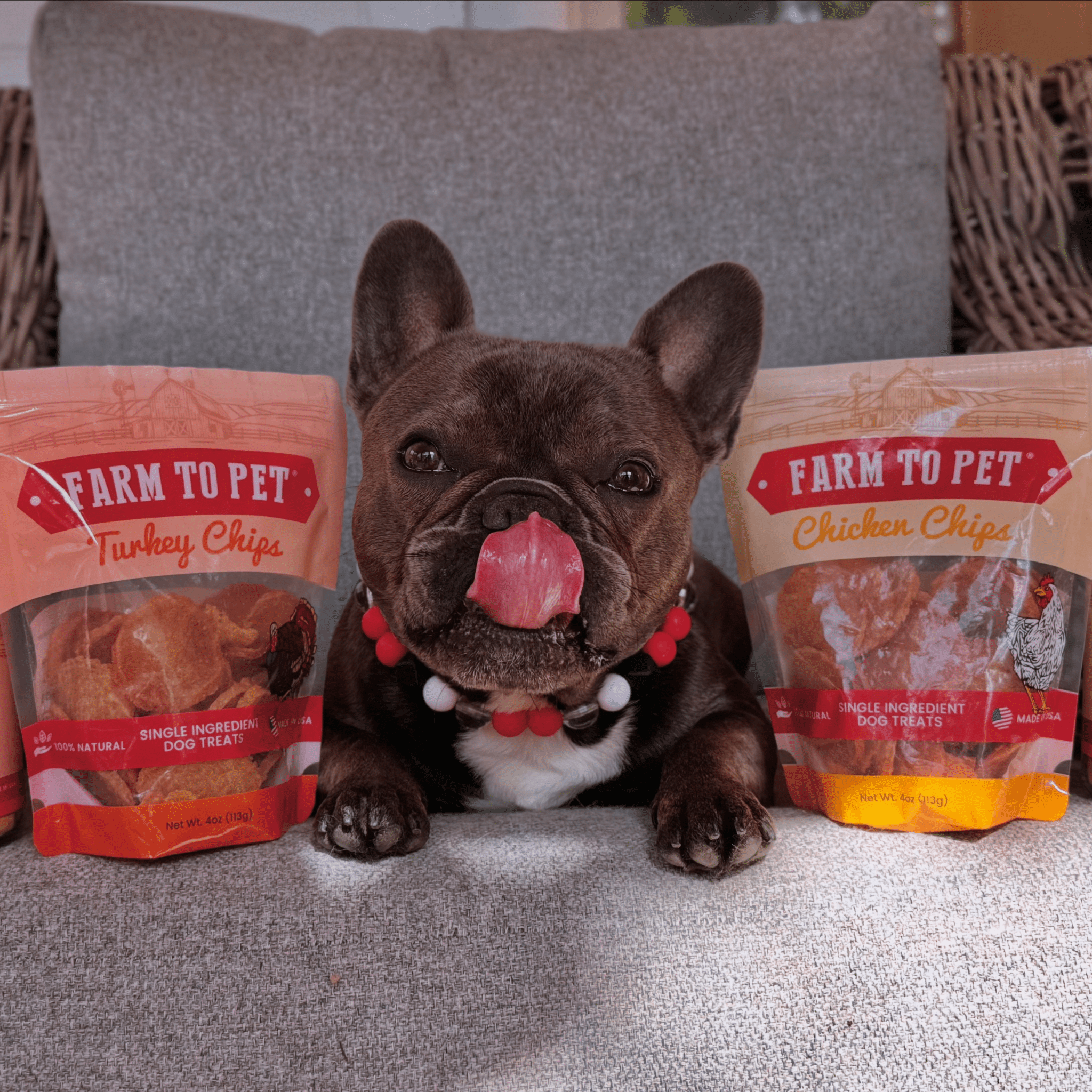 Farm to Pet Chip Dog Treat Duo - Chicken & Turkey