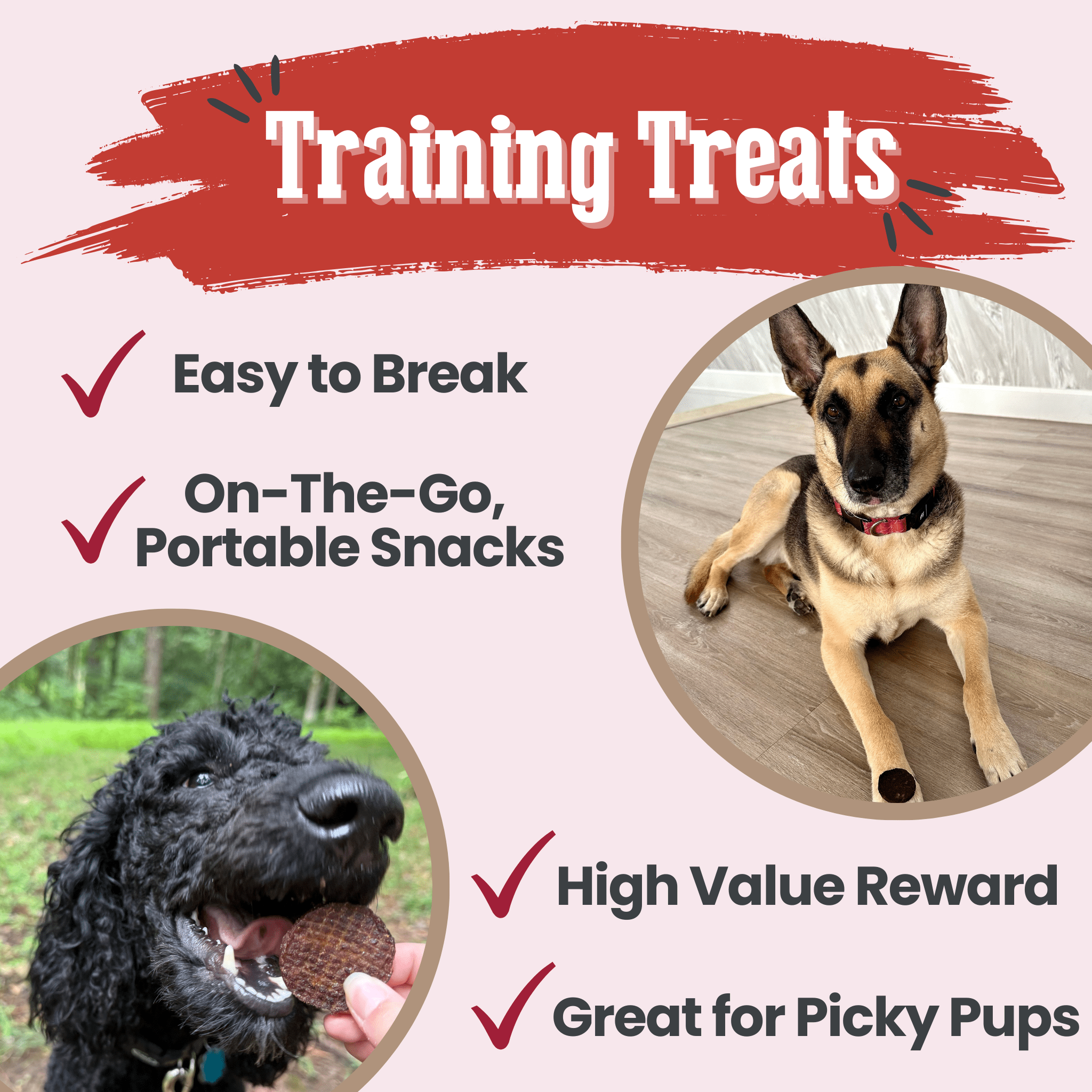 Farm to Pet Treat Chips - Beef