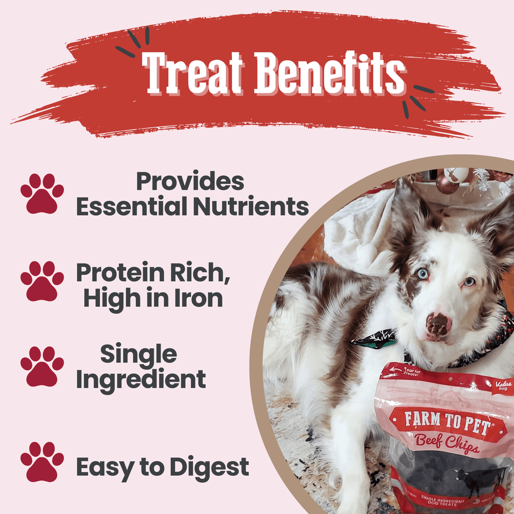 Farm to Pet Treat Chips - Beef