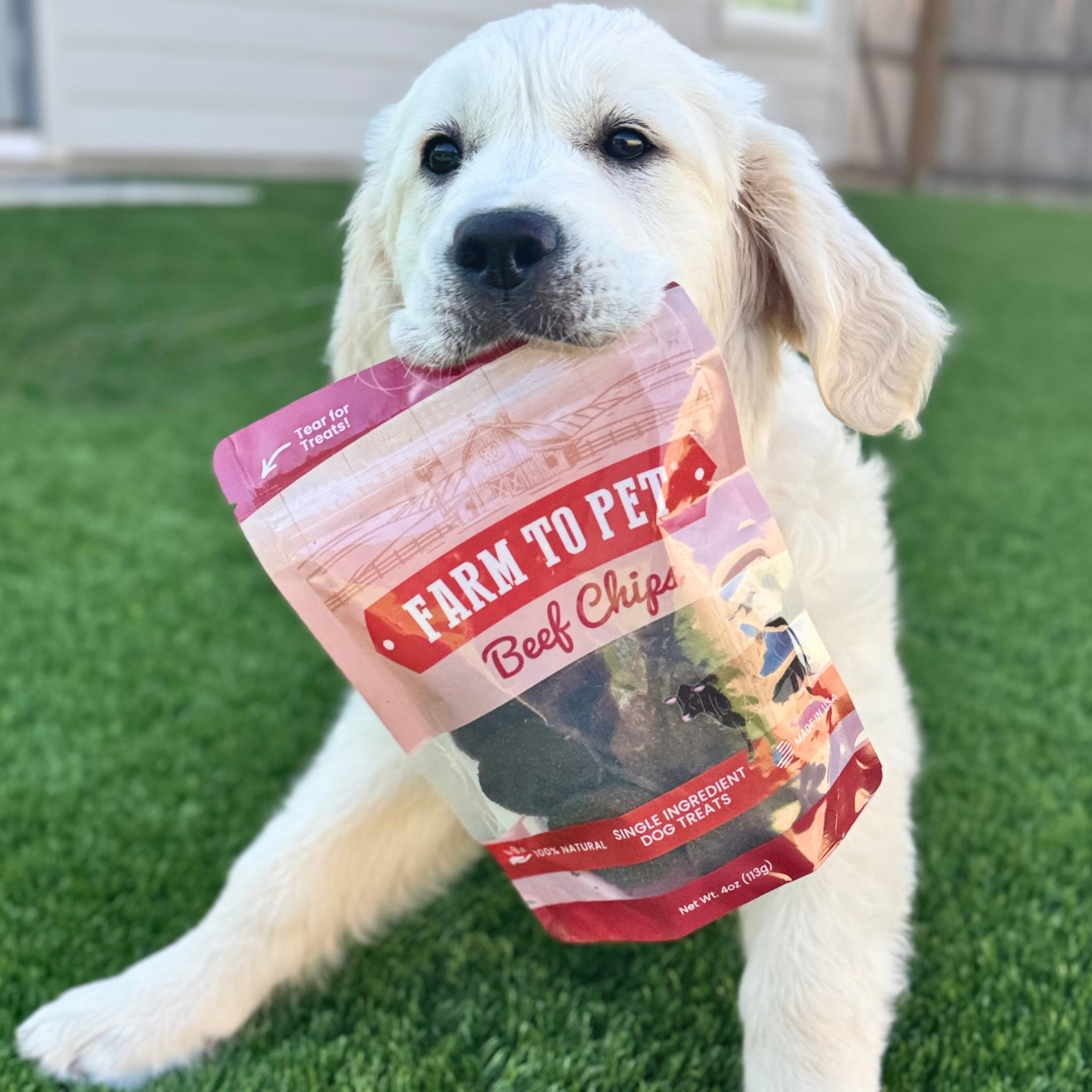 Farm to Pet Treat Chips - Beef