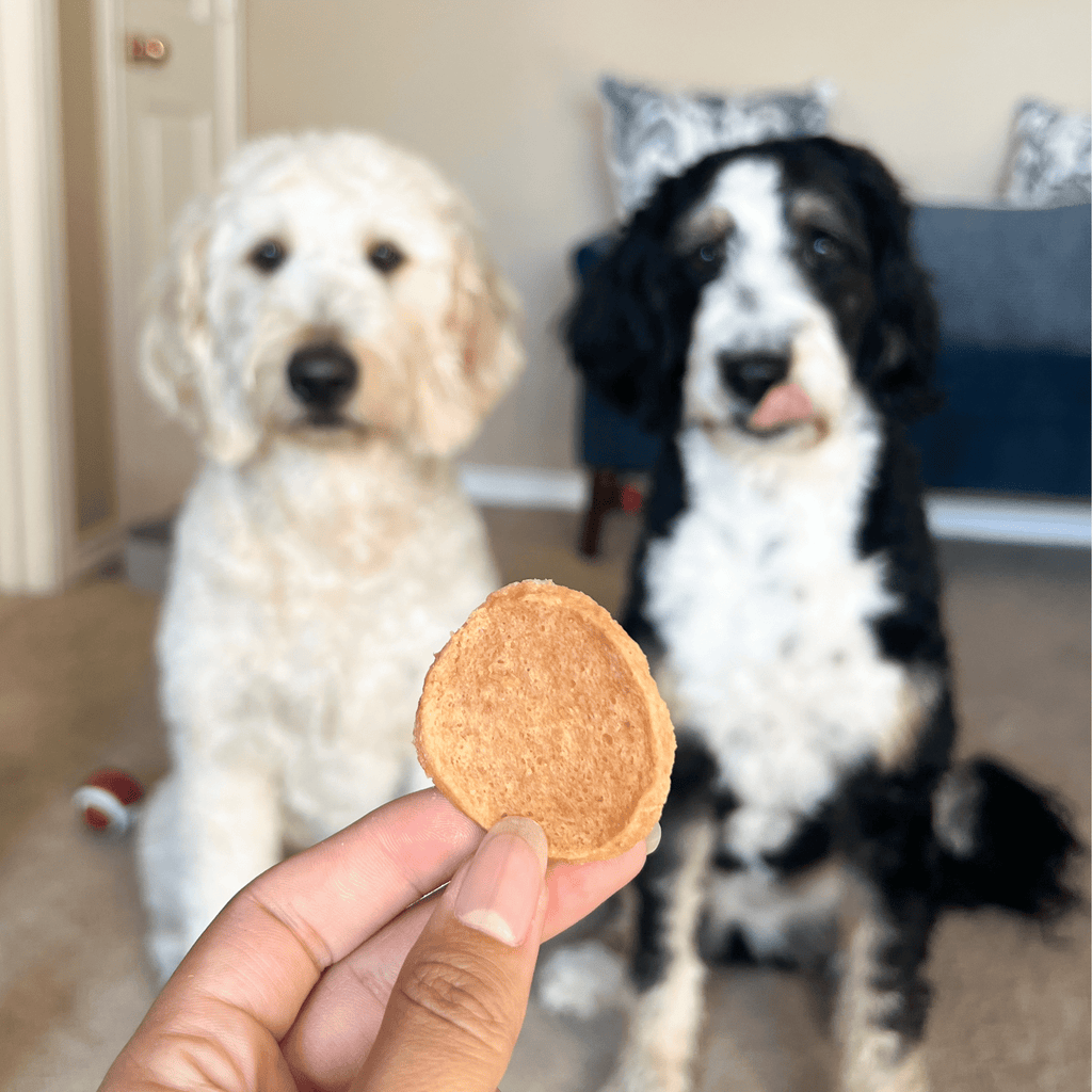 Farm to Pet Treat Chips - Chicken
