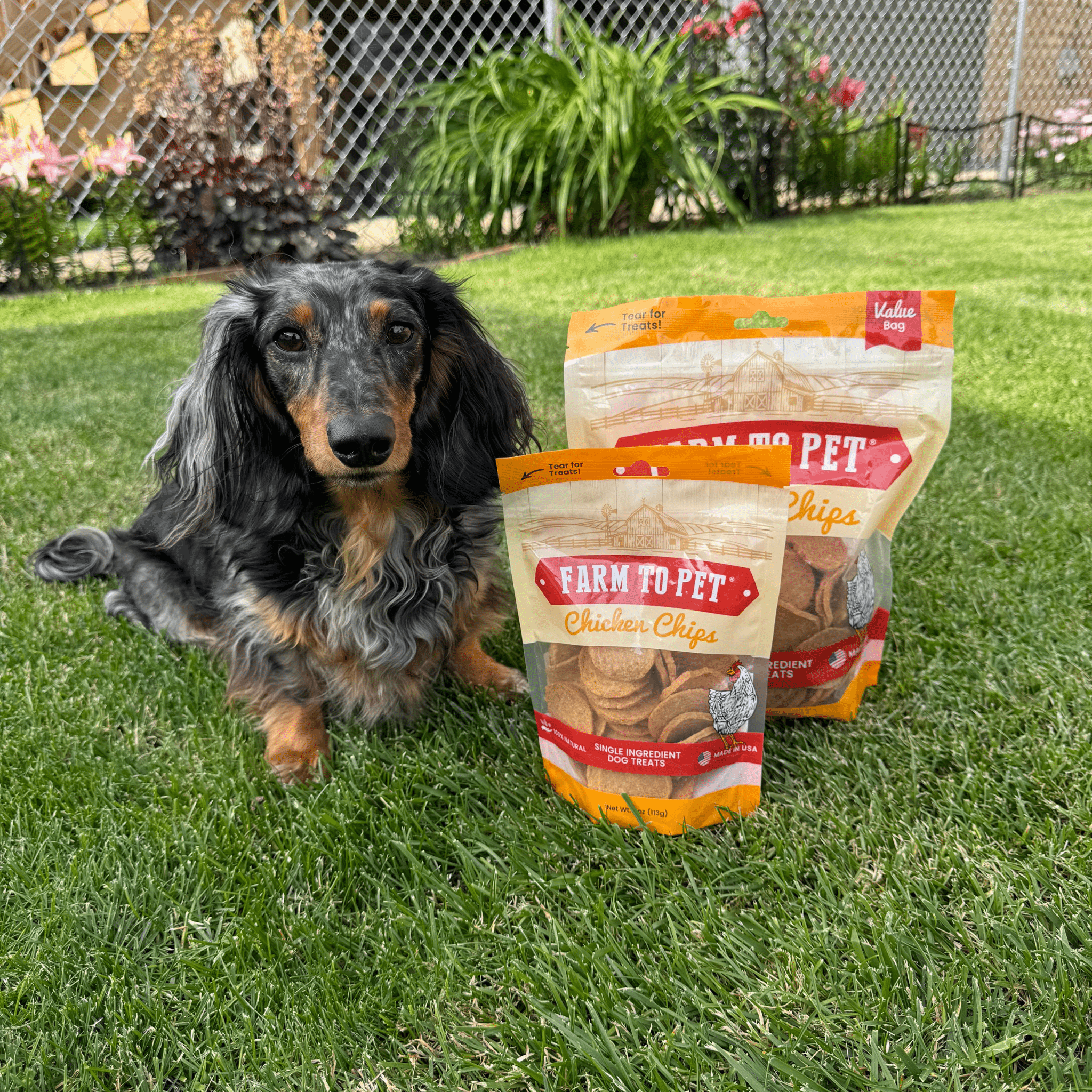 Farm to Pet Treat Chips - Chicken