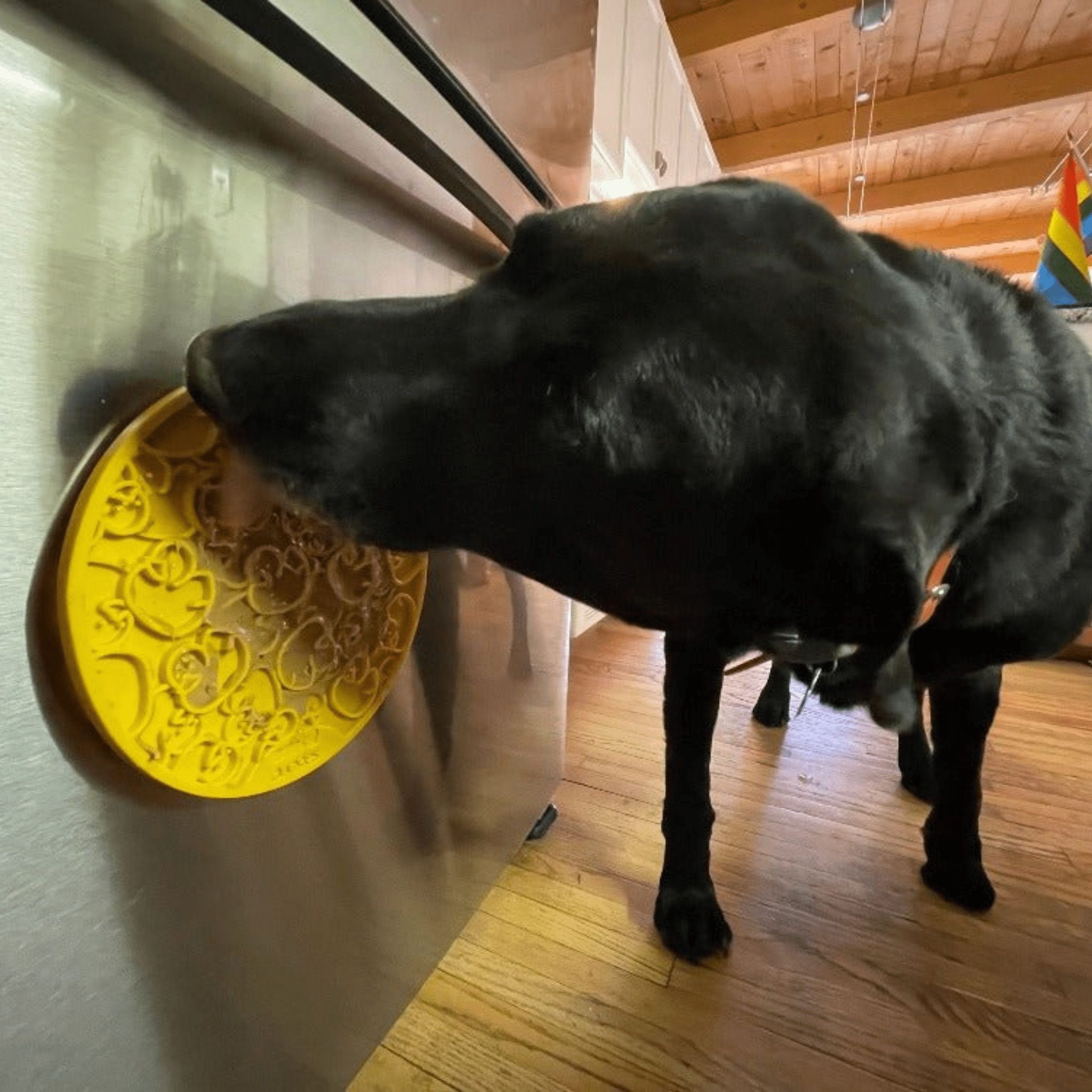 Farm to Pet Cat & Dog Lick Mats with Suction Cups - Multiple Colors