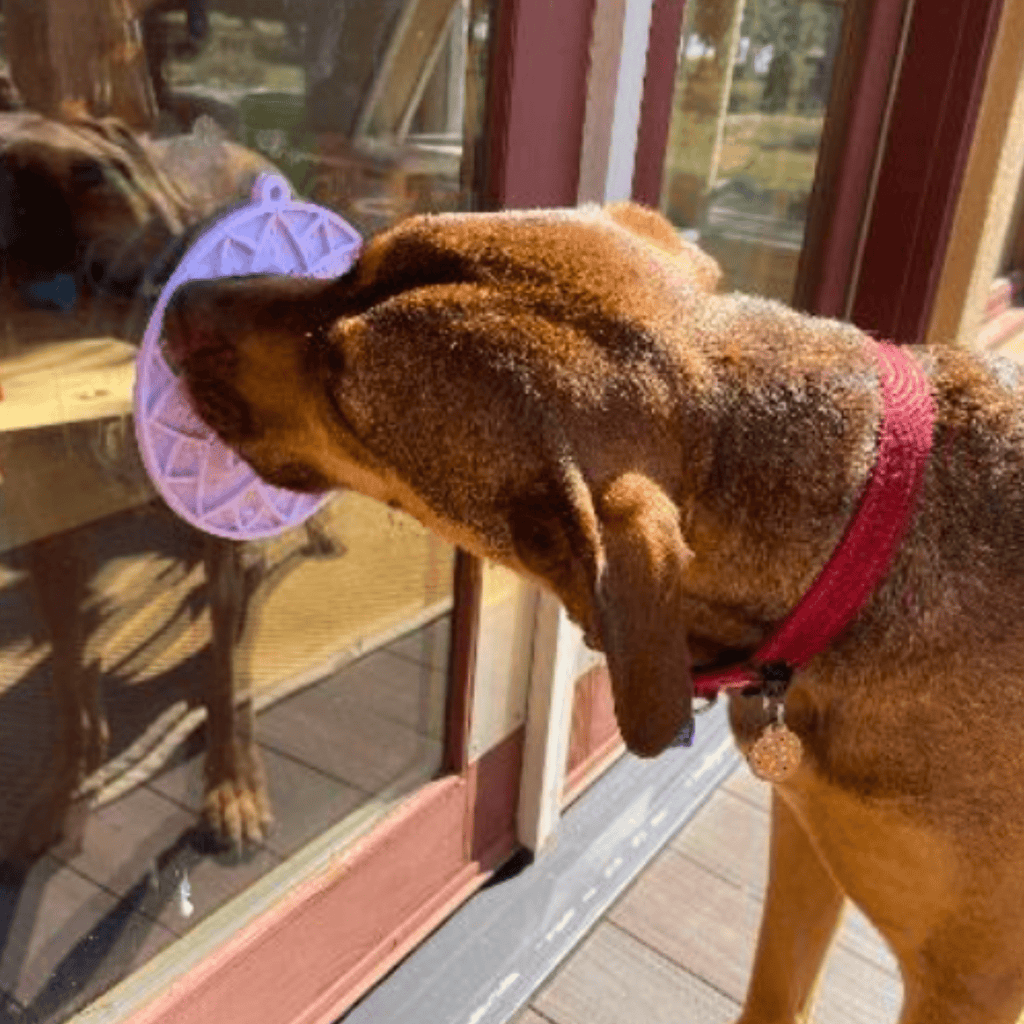 Dog & Cat Lick Mat with Suction Cup – Multiple Colors