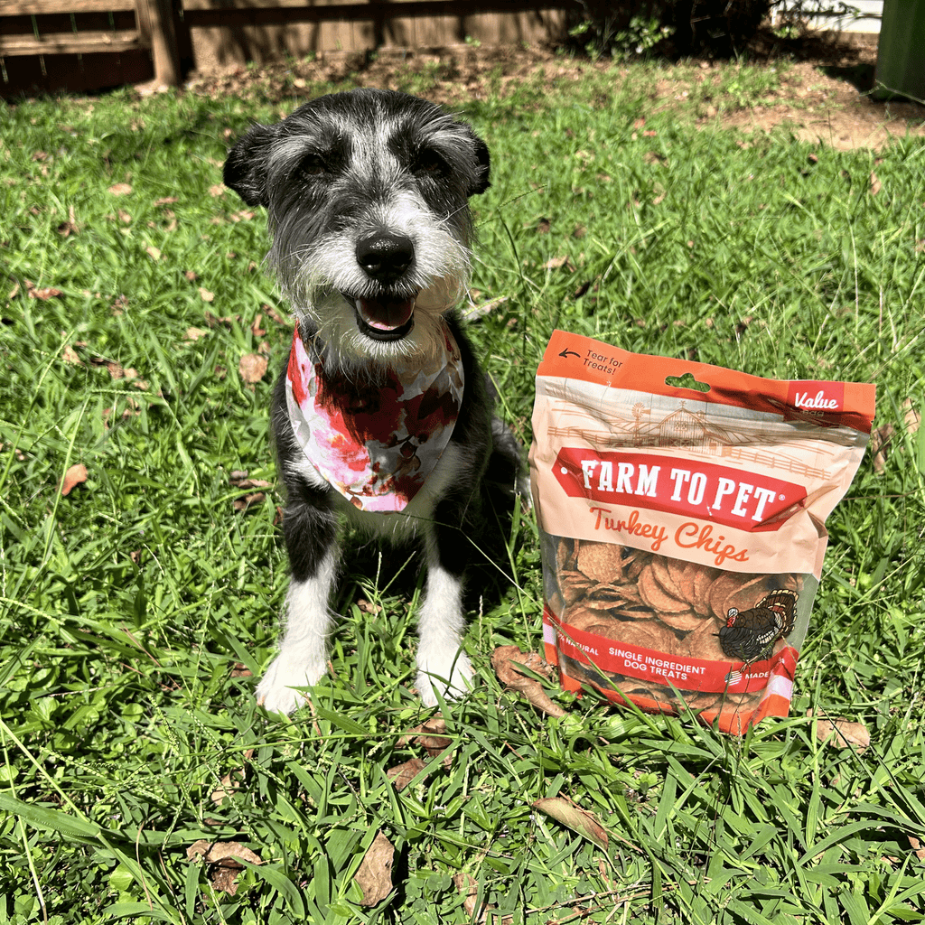 Farm to Pet Treat Chips - Turkey