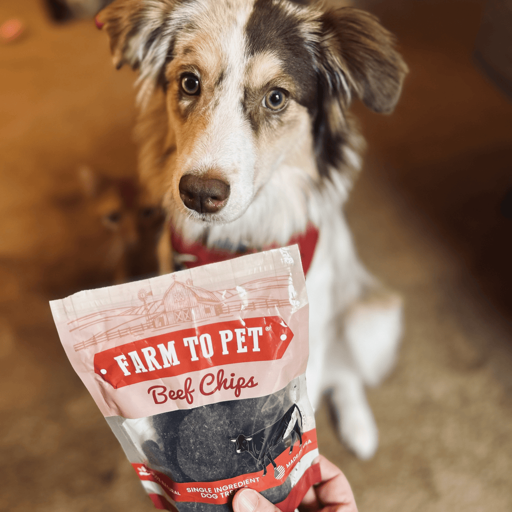 Farm to Pet Dog Treat Starter Pack Bundle