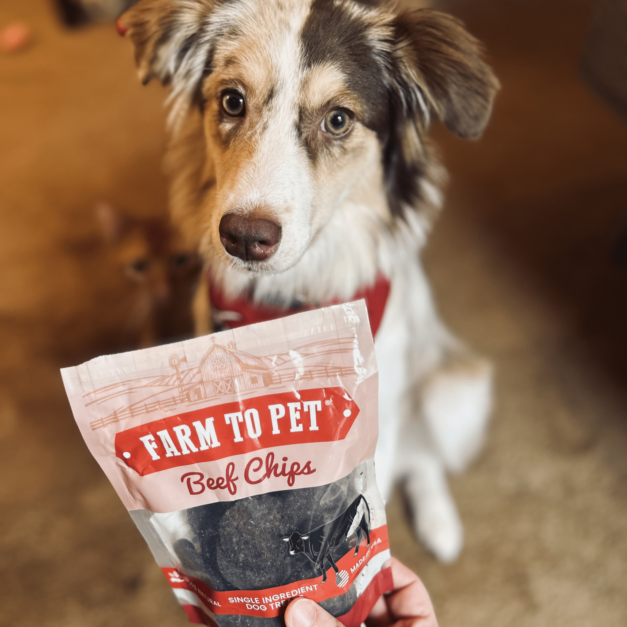 Farm to Pet Dog Treat Starter Pack Bundle
