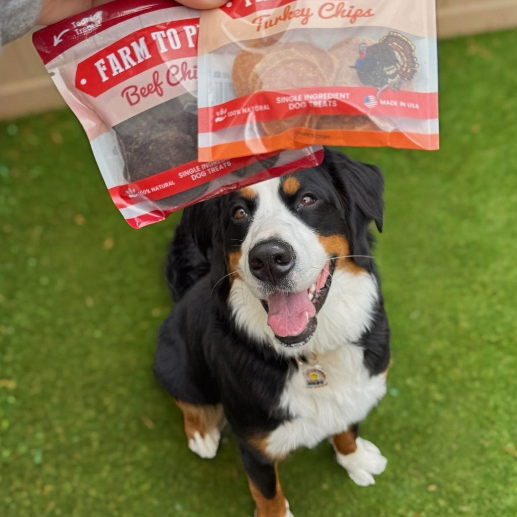 Farm to Pet Dog Treat Starter Pack Bundle