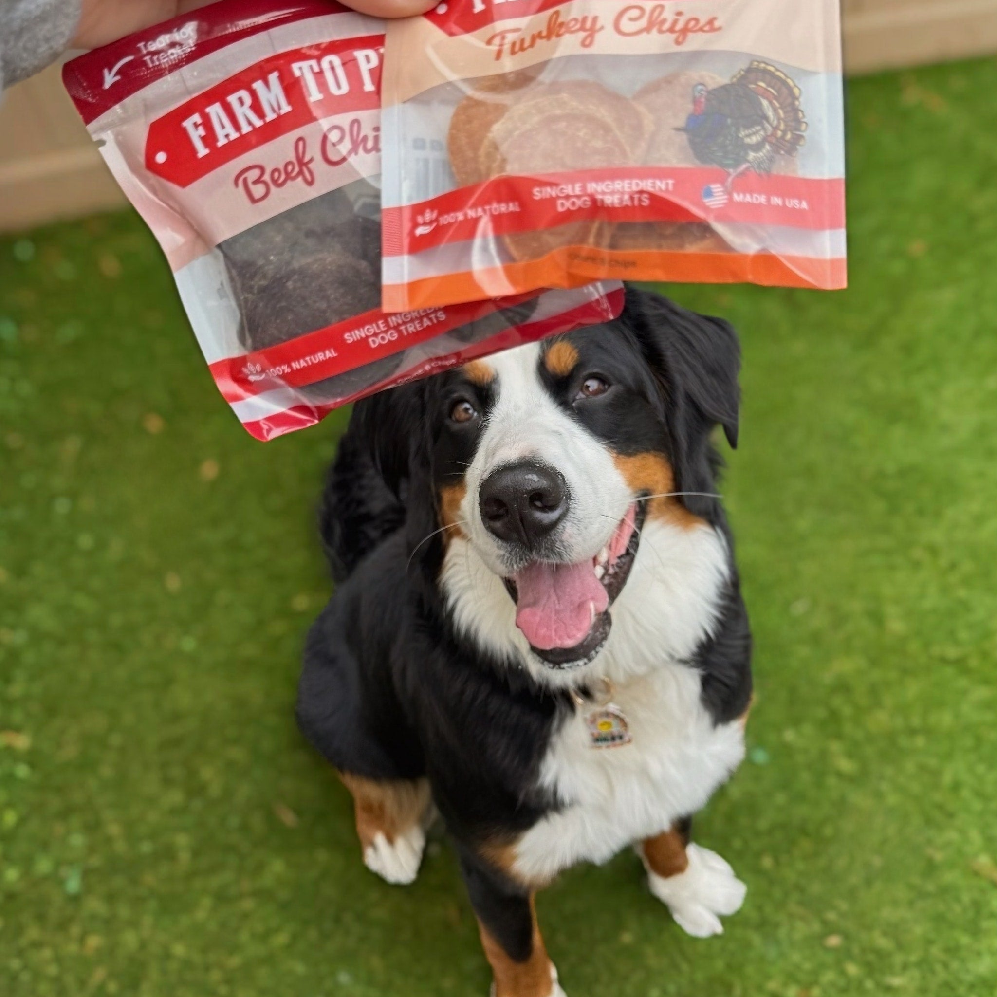 Farm to Pet Dog Treat Starter Pack Bundle