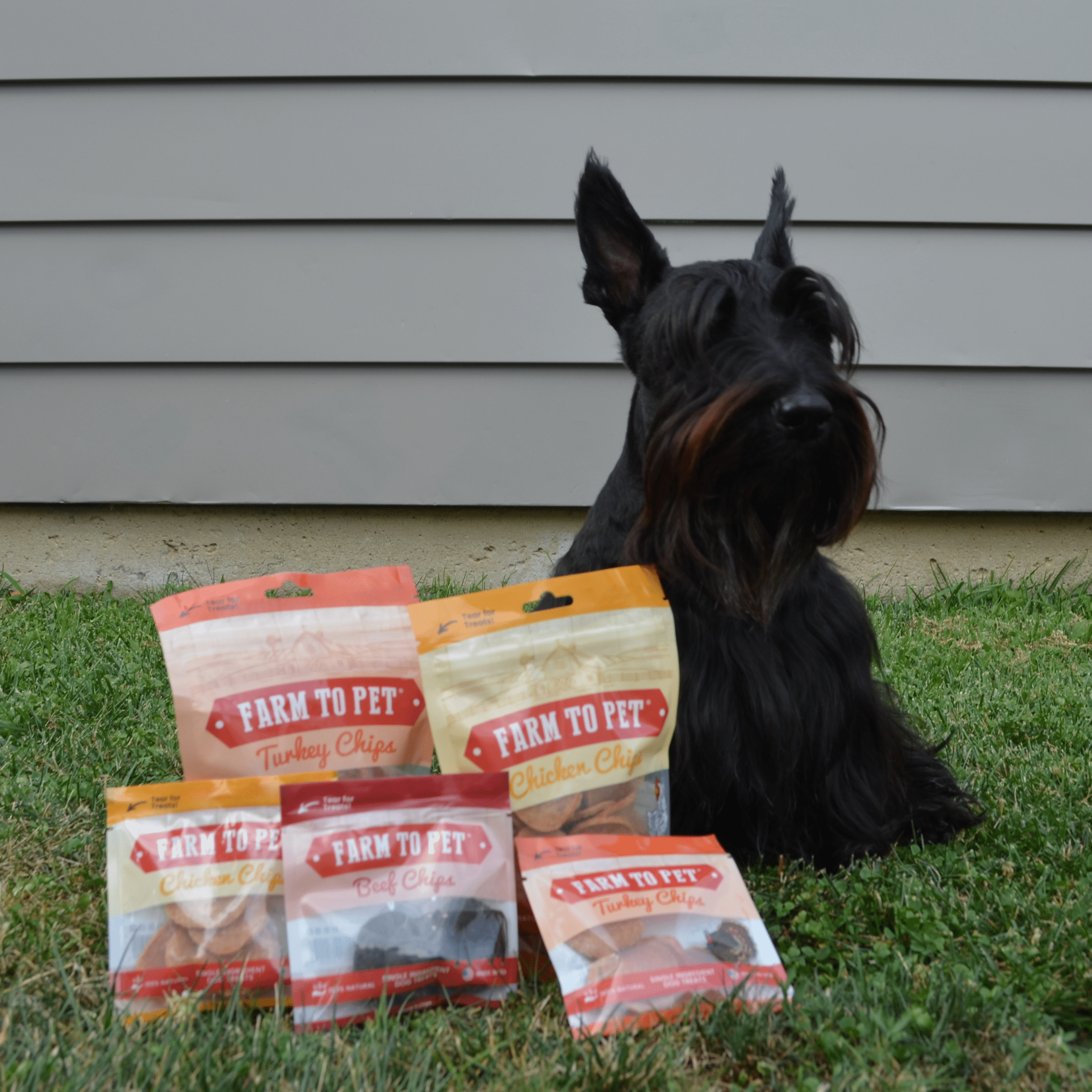 Farm to Pet Dog Treat Starter Pack Bundle