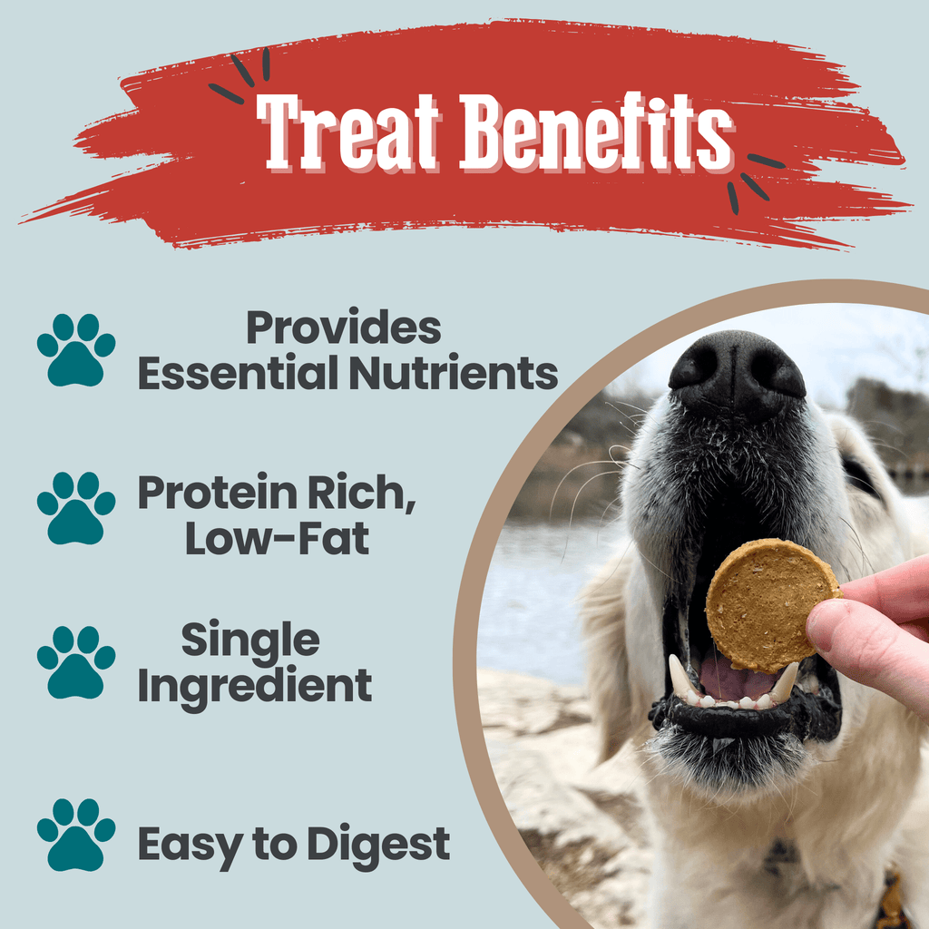 Fish Treat Chips – Single Ingredient Wild-Caught