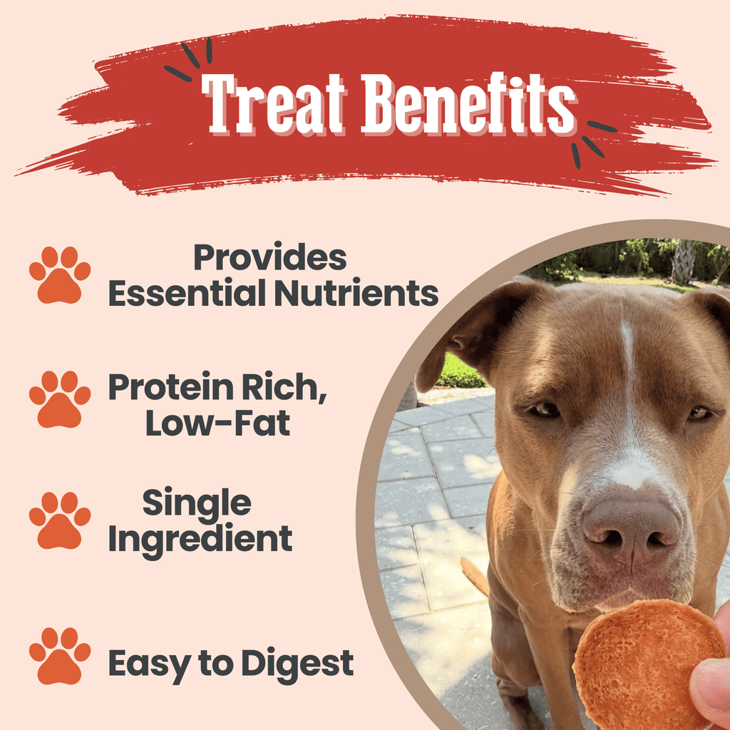 Farm to Pet Treat Chips - Turkey