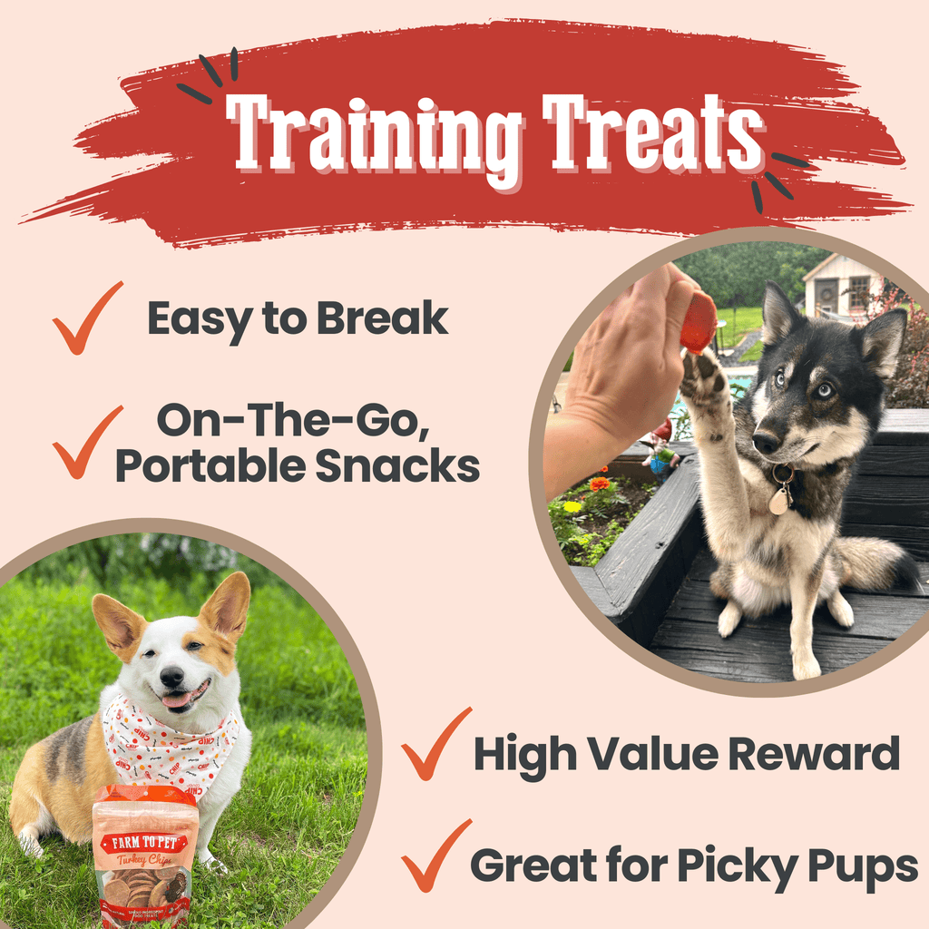 Farm to Pet Treat Chips - Turkey